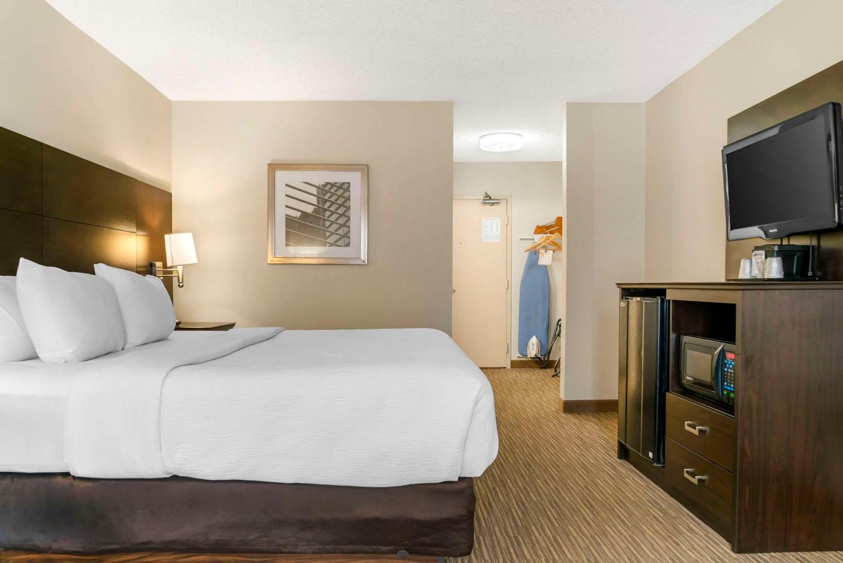 King Room - Non-Smoking - Photo 4