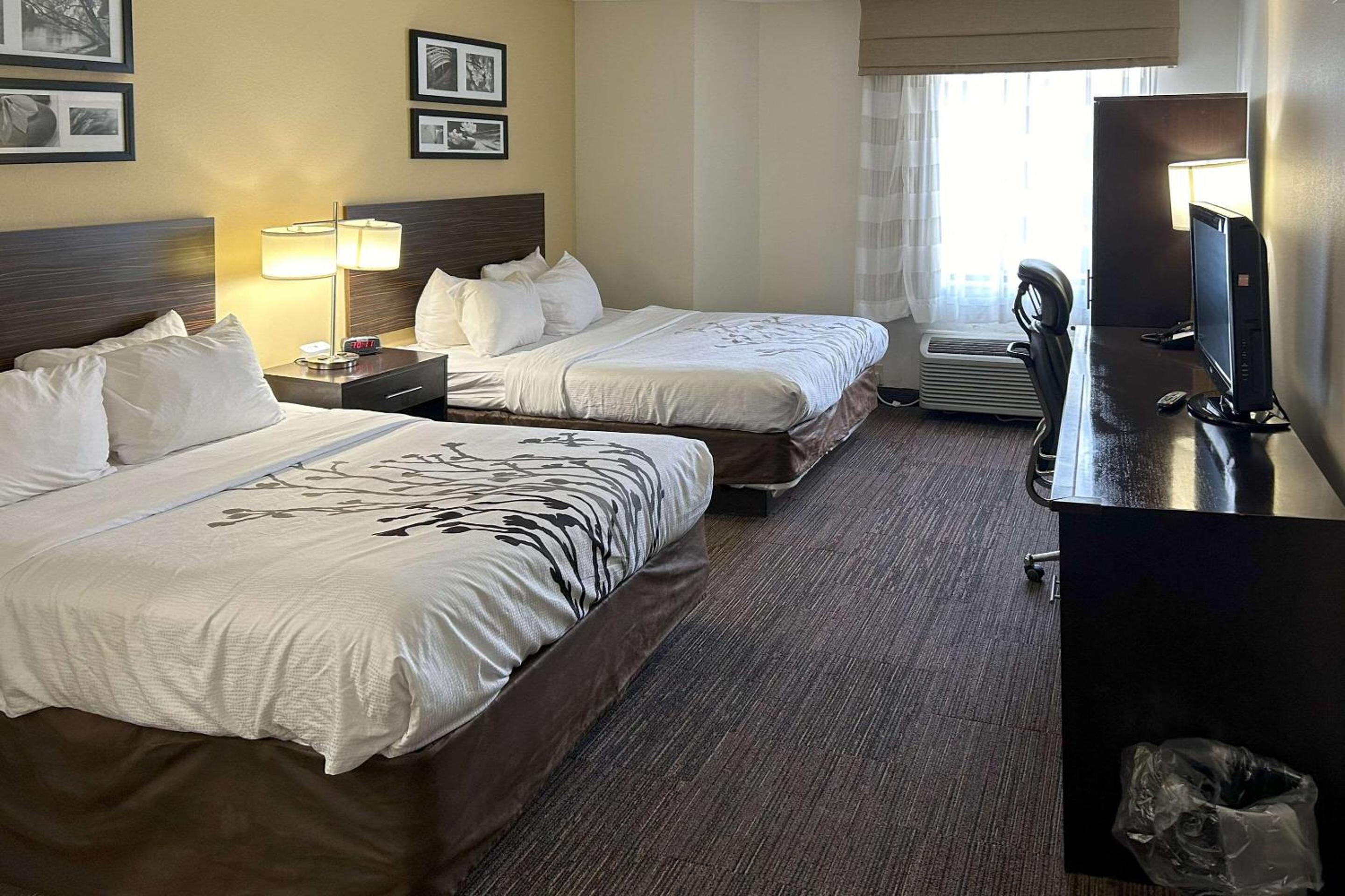 Queen Room with Two Queen Beds - Photo 1