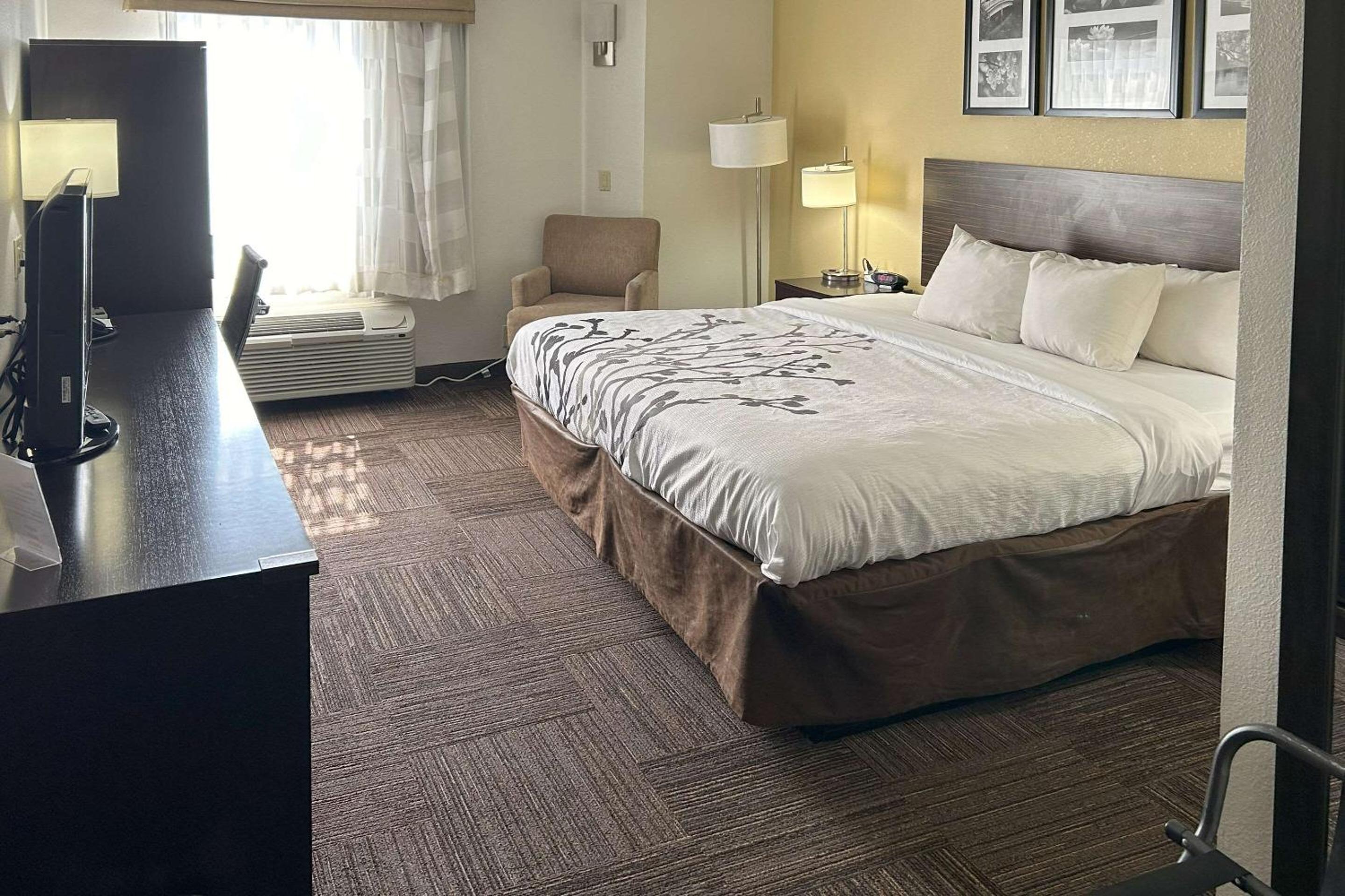 King Room - Non-Smoking - Photo 3