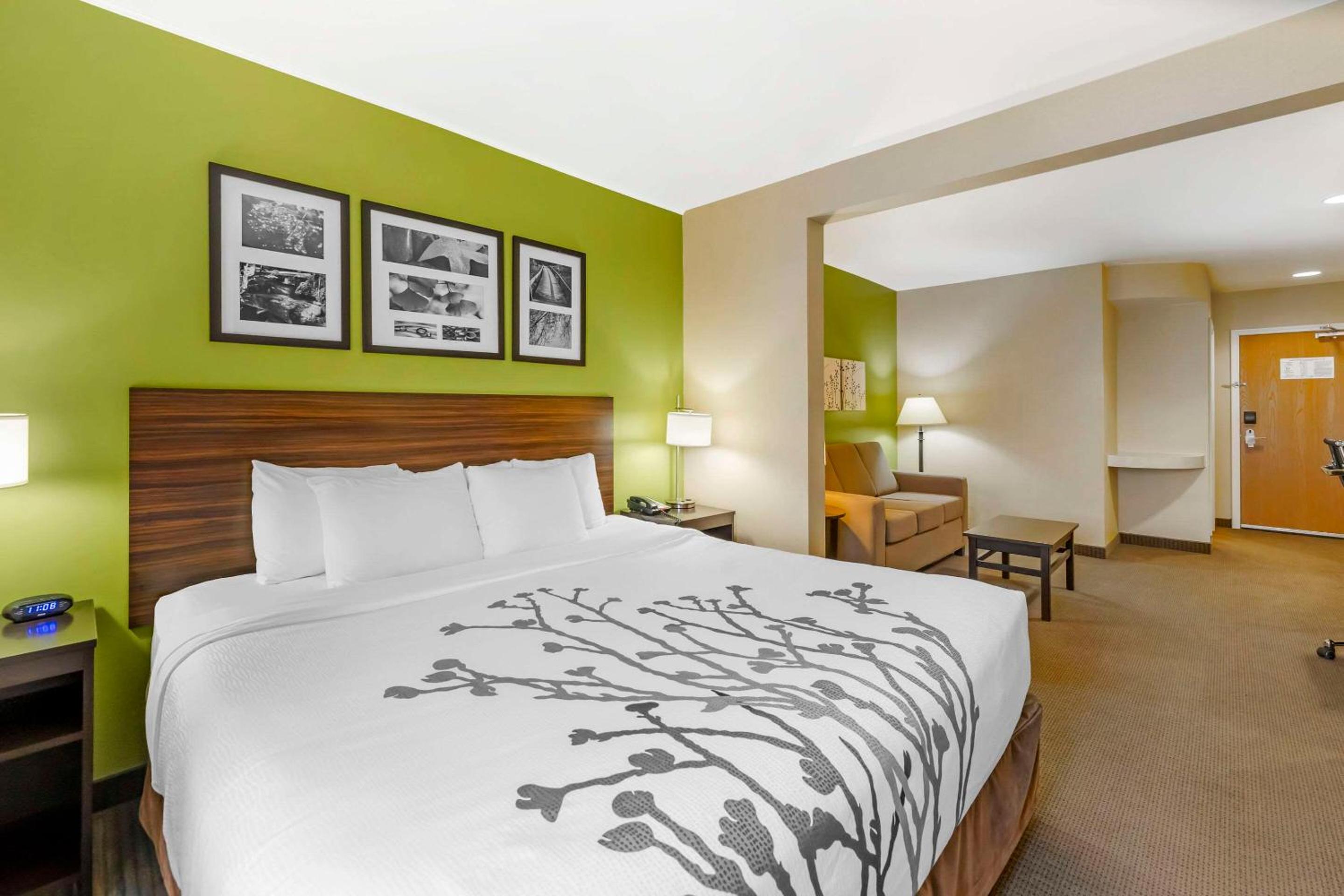 King Room - Non-Smoking - Photo 1