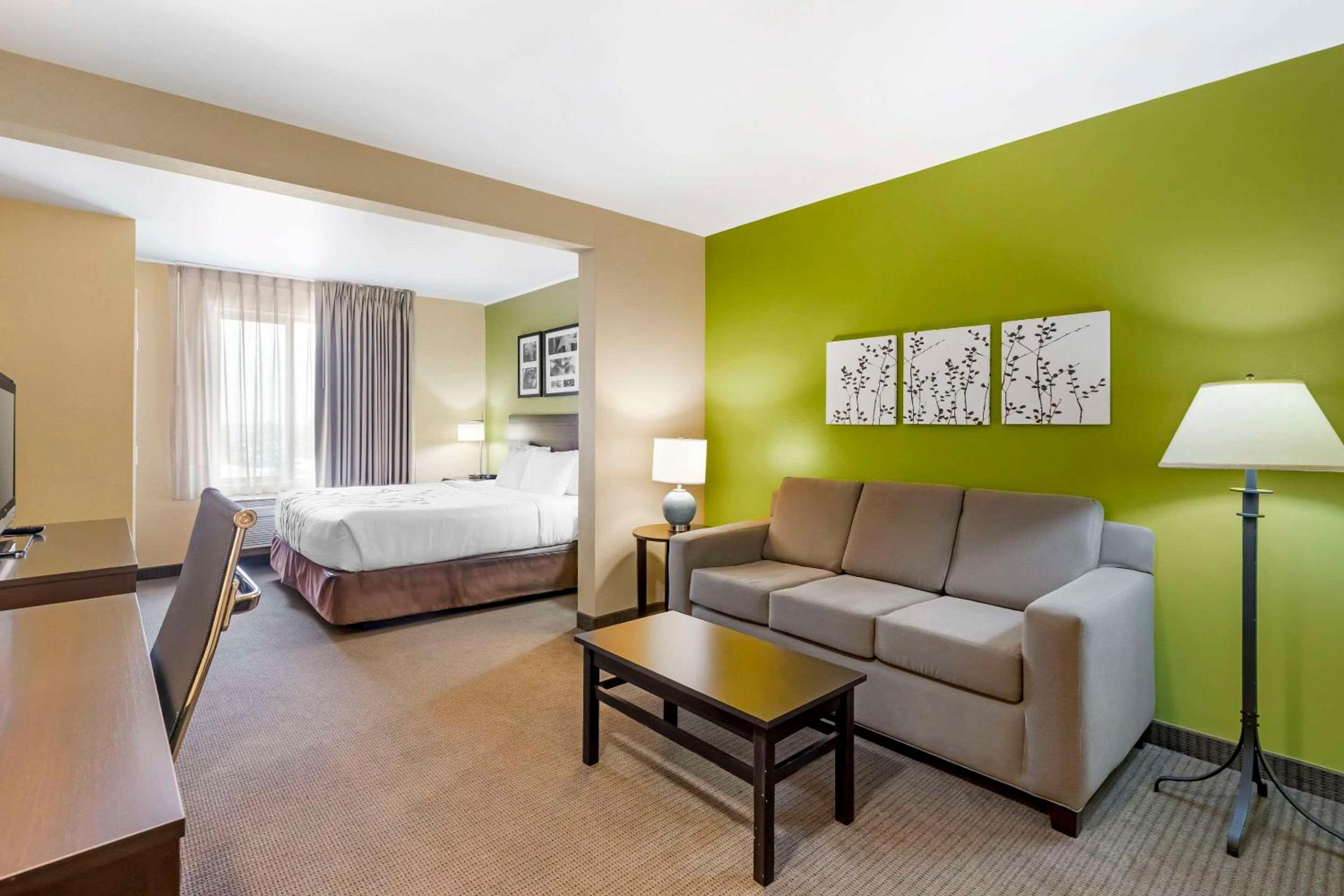 King Room - Non-Smoking - Photo 5