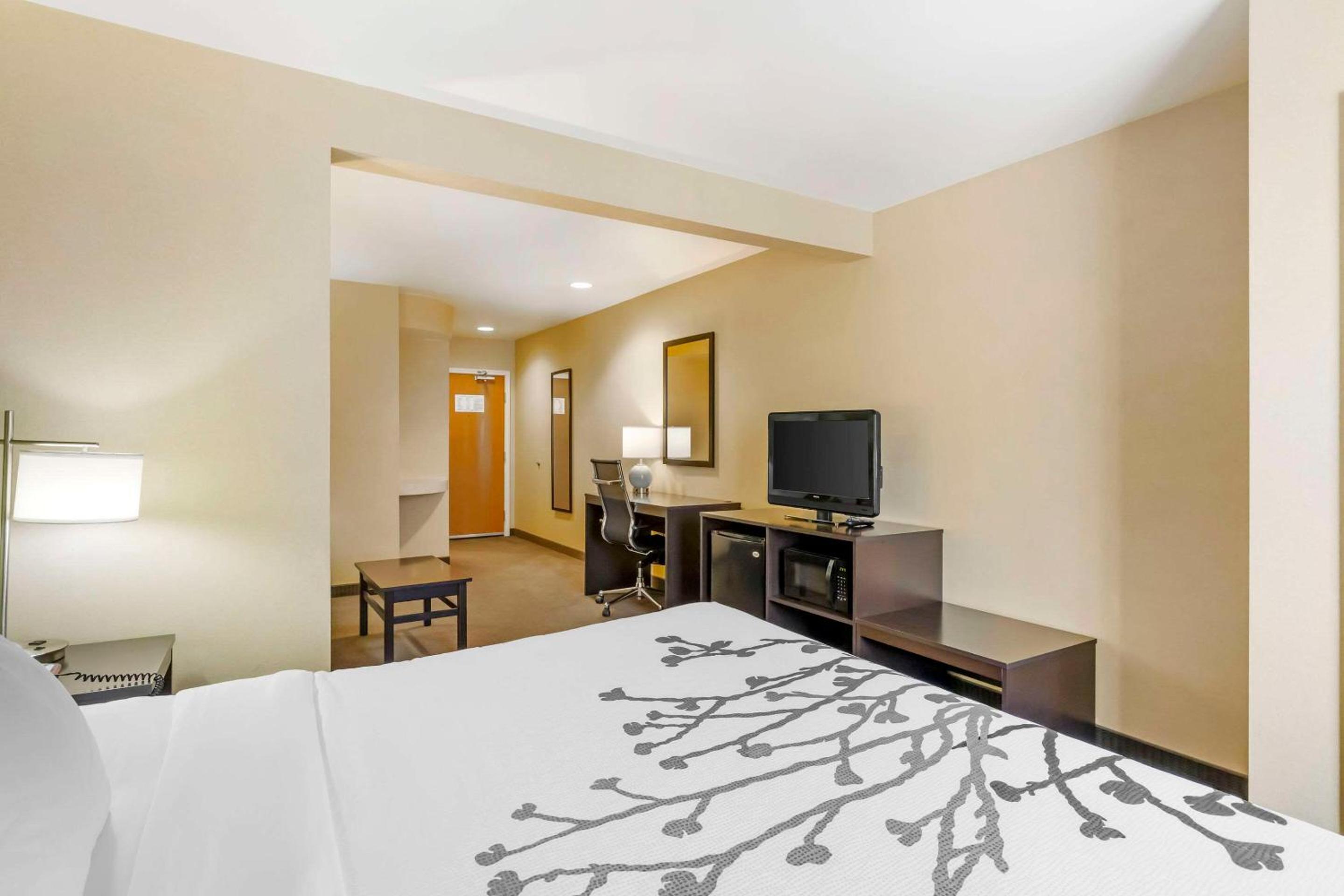 King Room - Non-Smoking - Photo 4