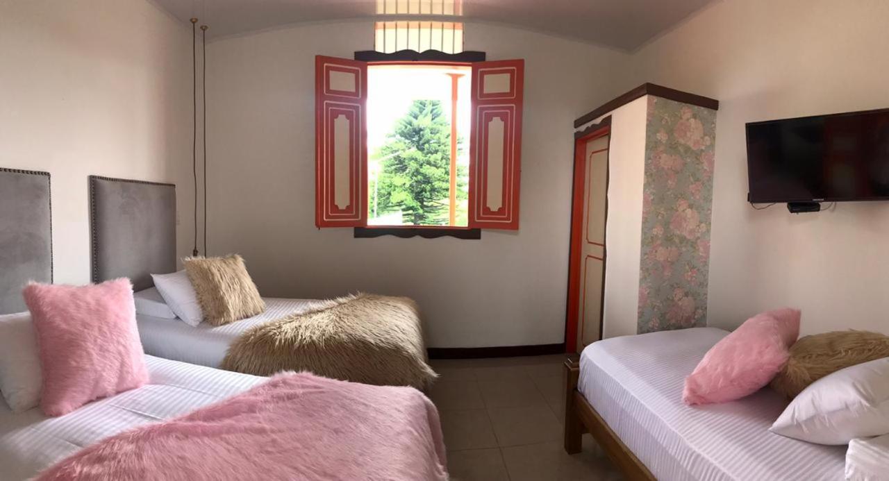 Comfort Triple Room photo 1