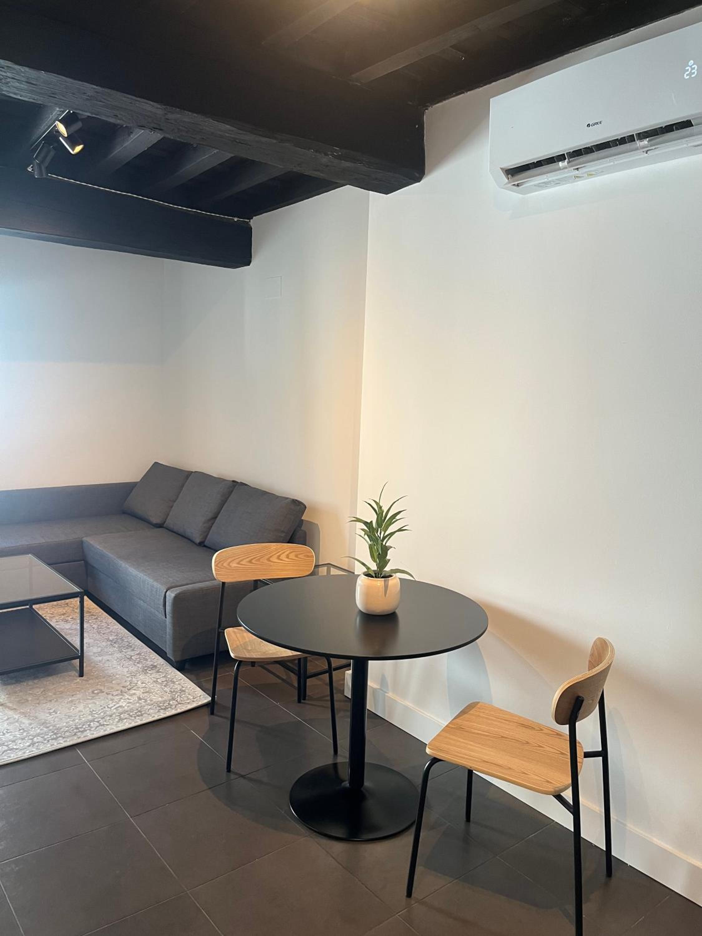 Duplex Apartment photo 2