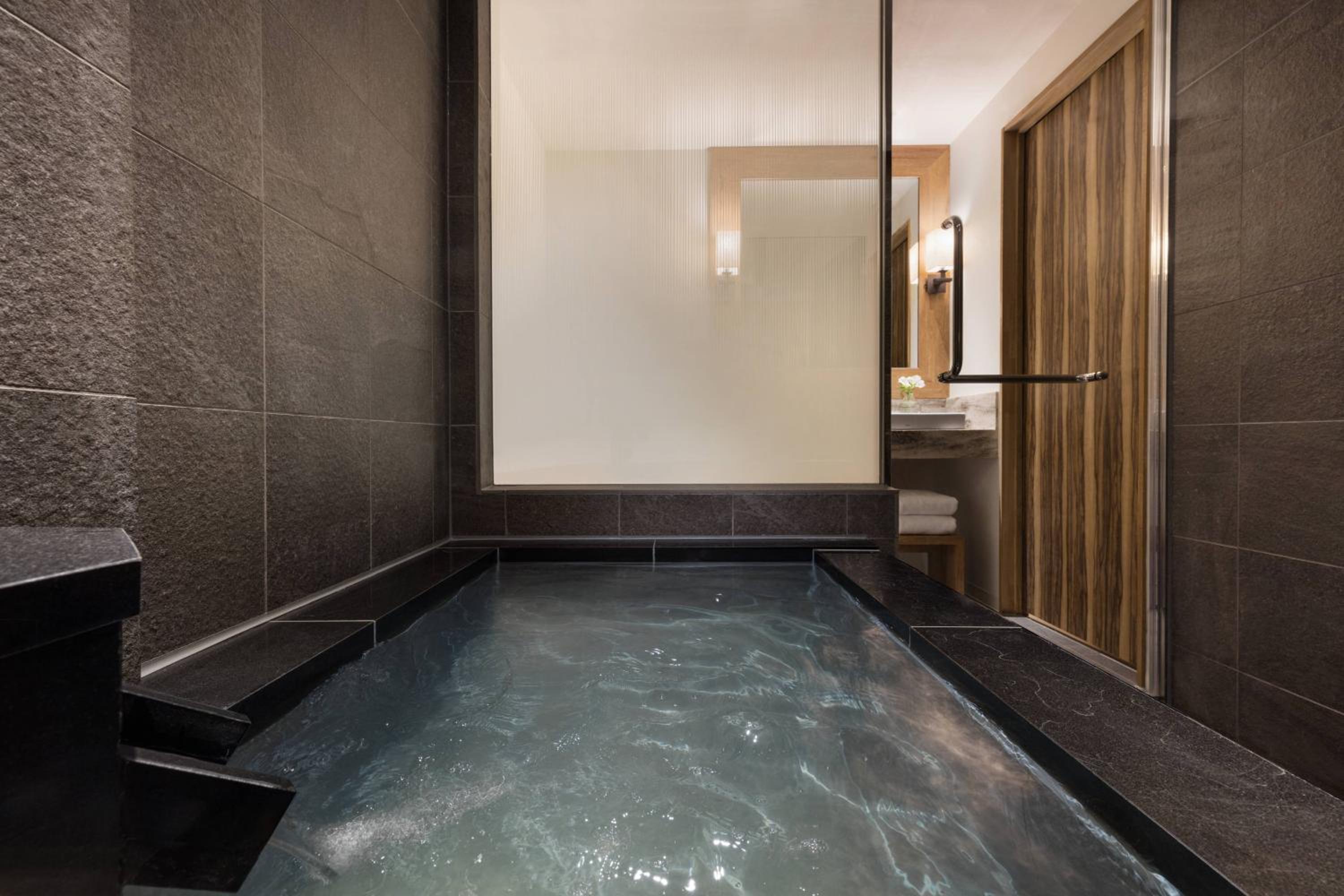 Premium Twin Room with Hot Spring photo 3