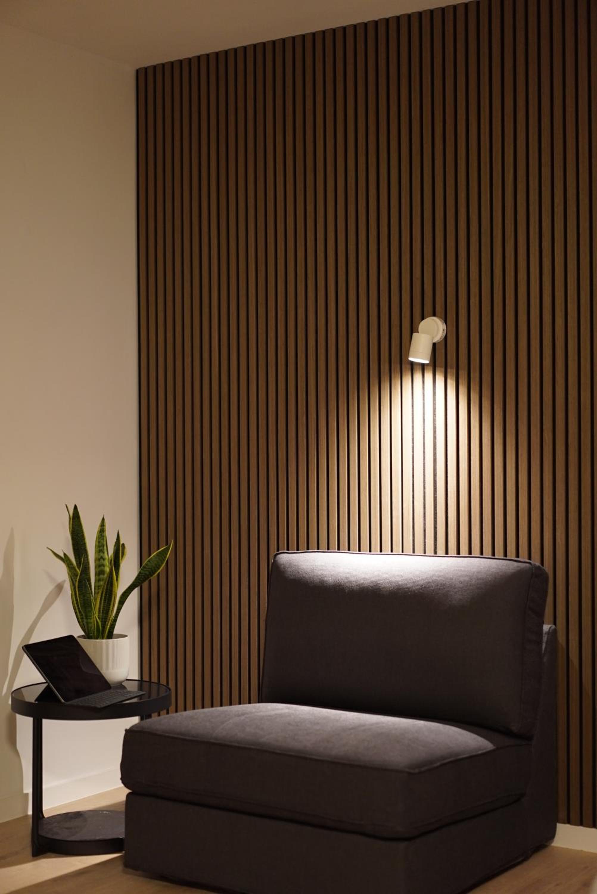 Studio with Terrace photo 1