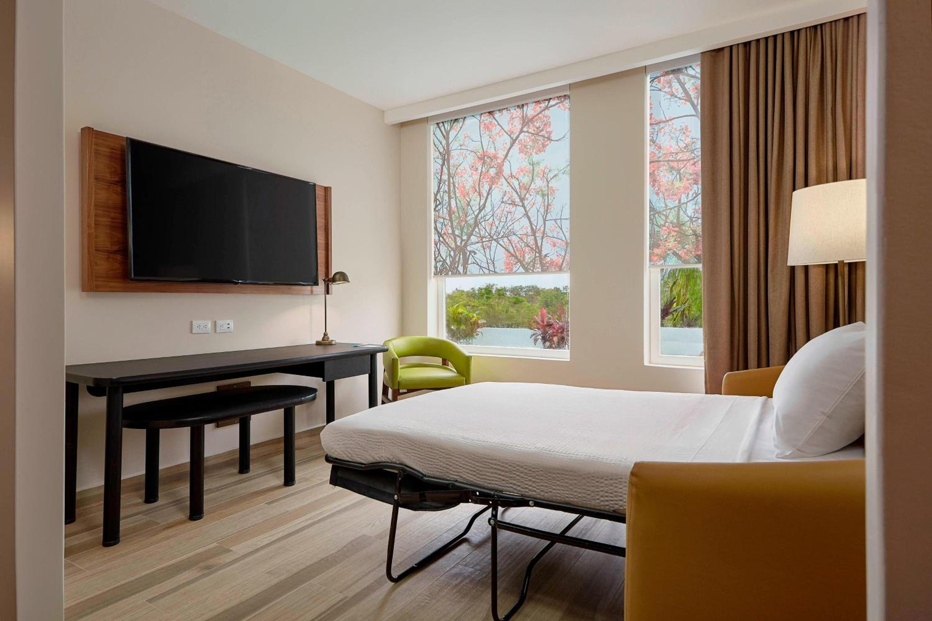 1 Bedroom Suite, 1 King, Sofa bed and Airport Transfer photo 3