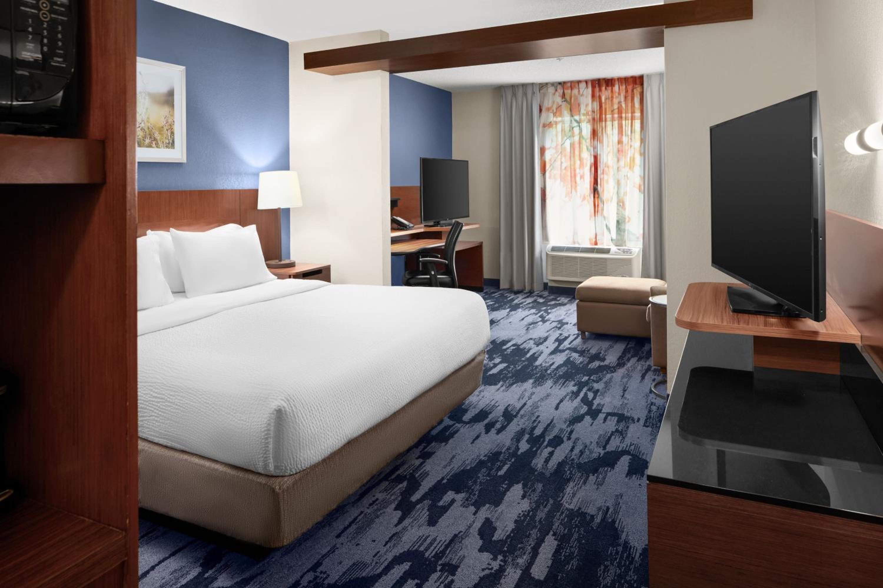 One-Bedroom Studio Suite with Sofa Bed and Roll-in Shower - Mobility and Hearing Accessible photo 2