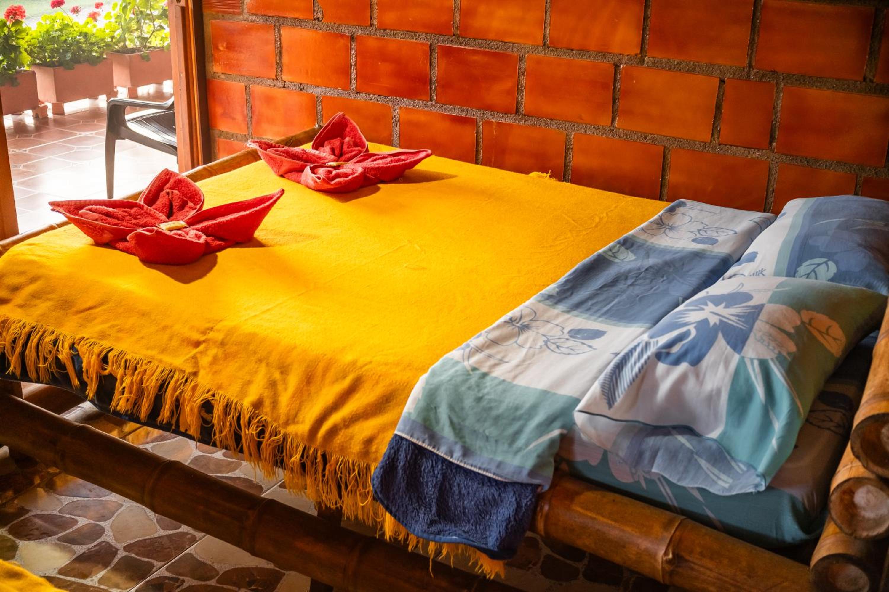 4-Bed Mixed Dormitory Room