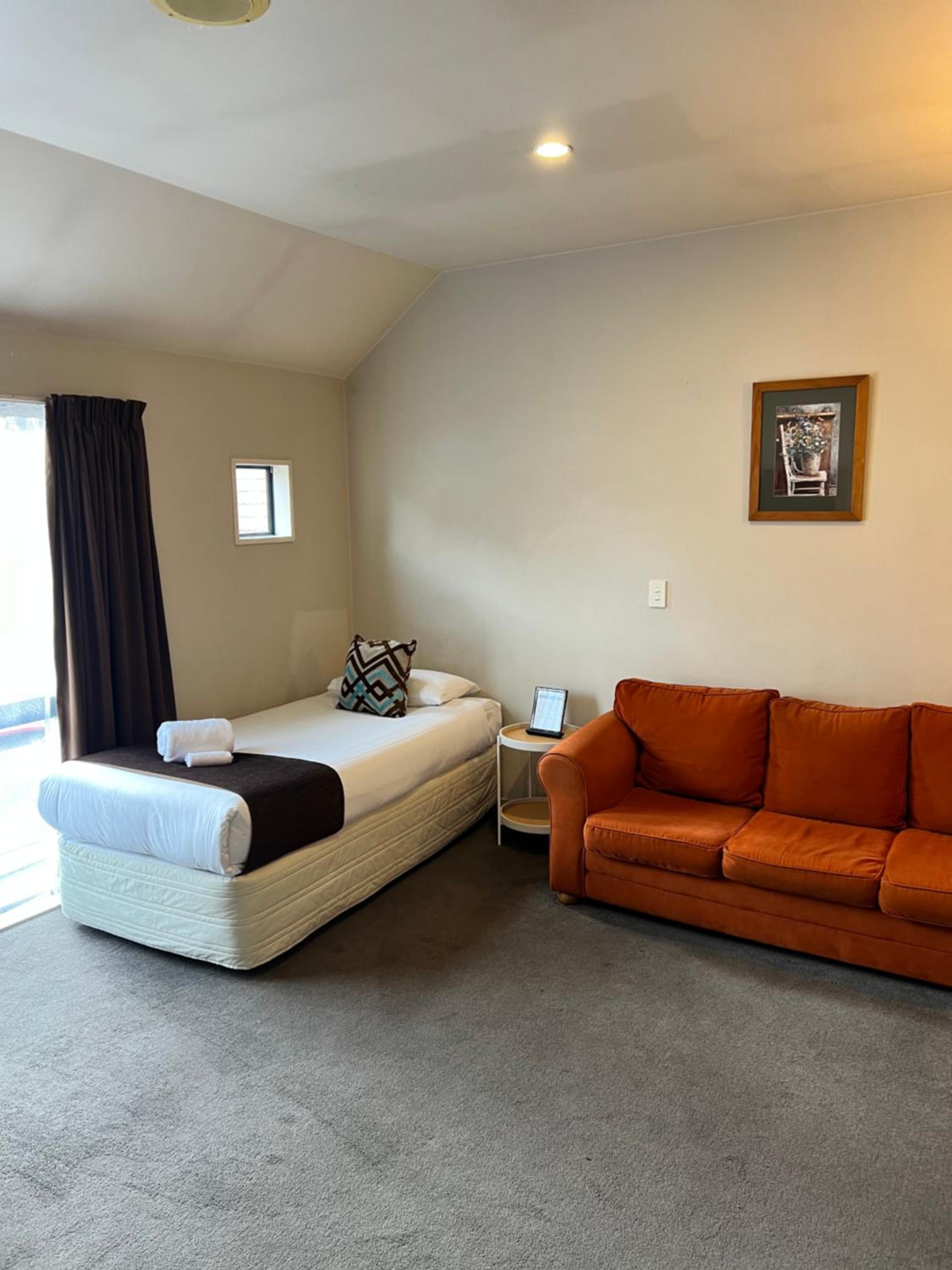 Standard One-Bedroom Apartment - Photo 4