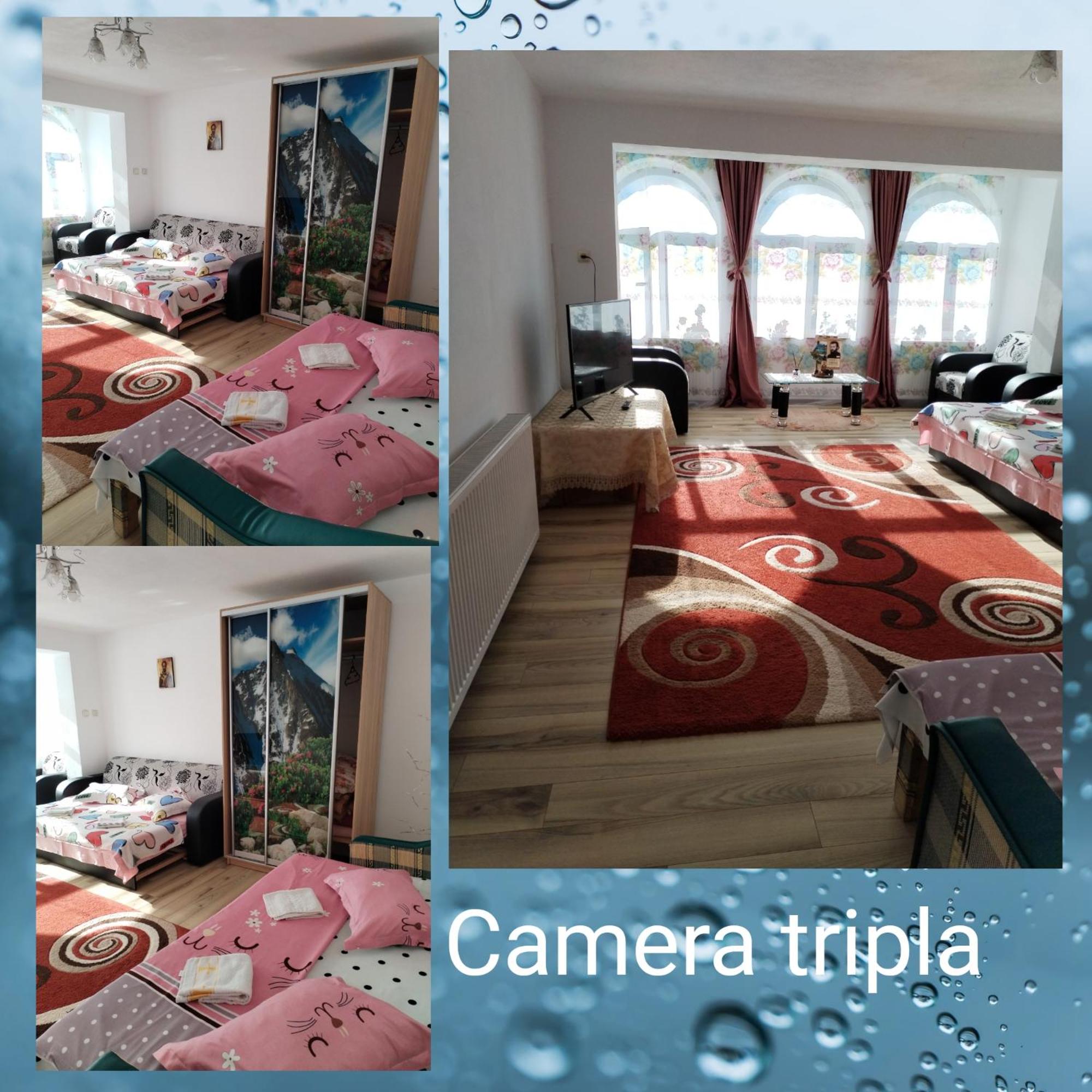 Triple Room with Mountain View photo 1