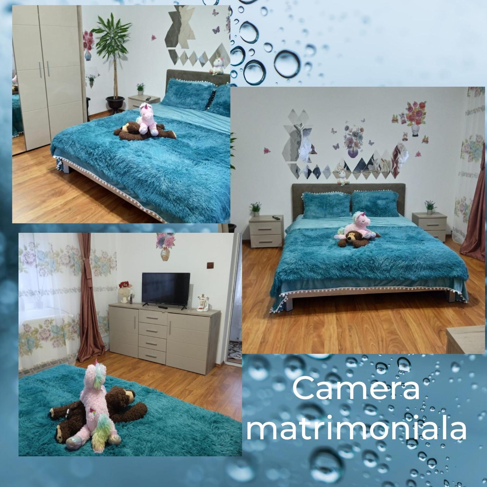 Family Room photo 1