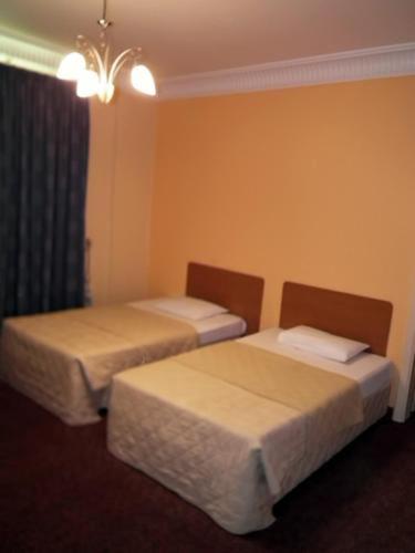 Suite - Photo 1