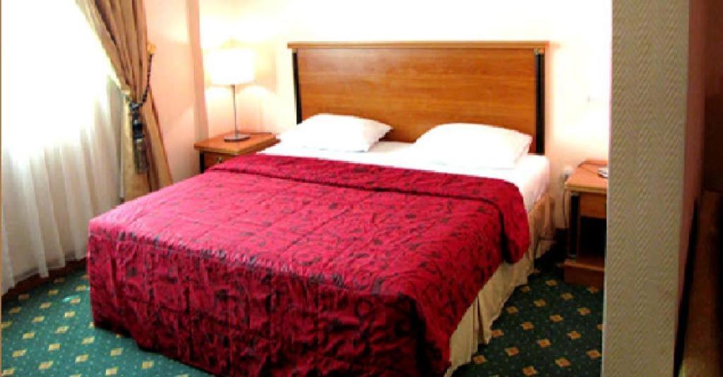 Suite - Photo 2