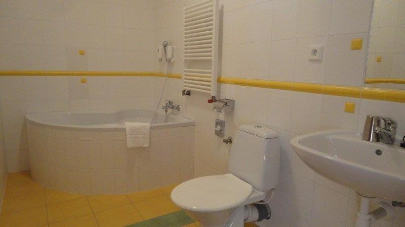 Deluxe Double Room with Extra Bed photo 1