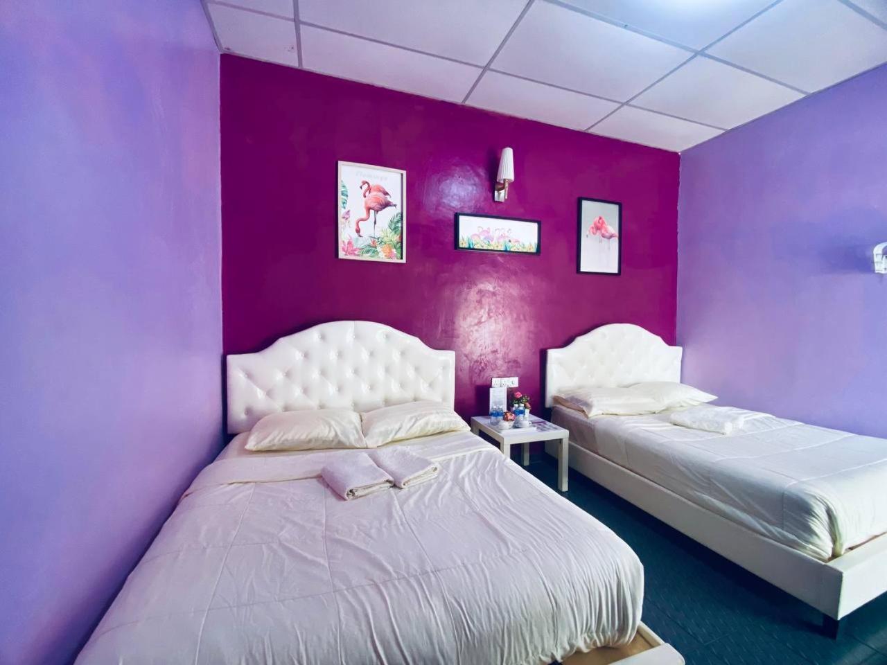 Quadruple Room photo 1