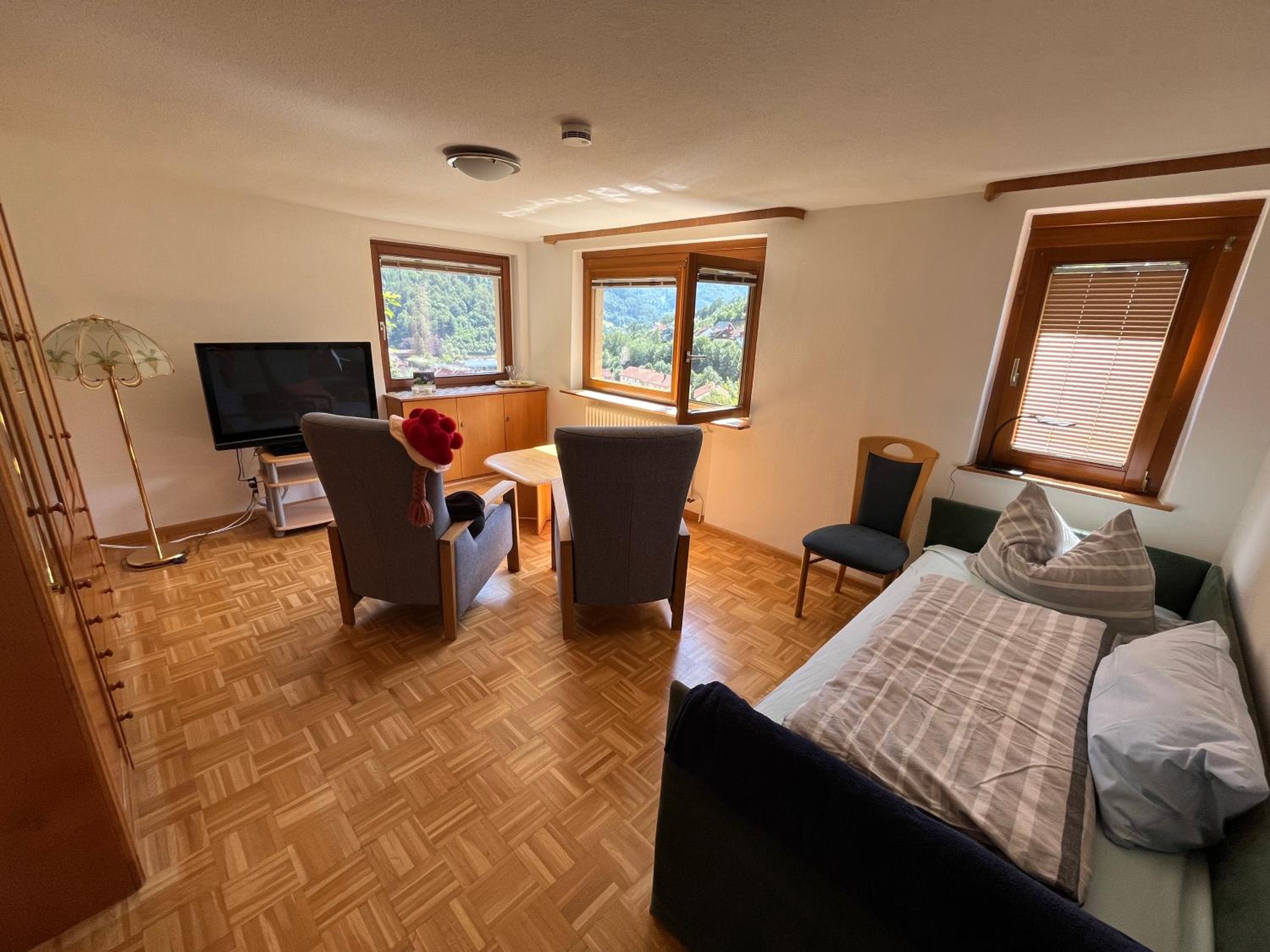 One-Bedroom Apartment with Balcony and Mountain View photo 1