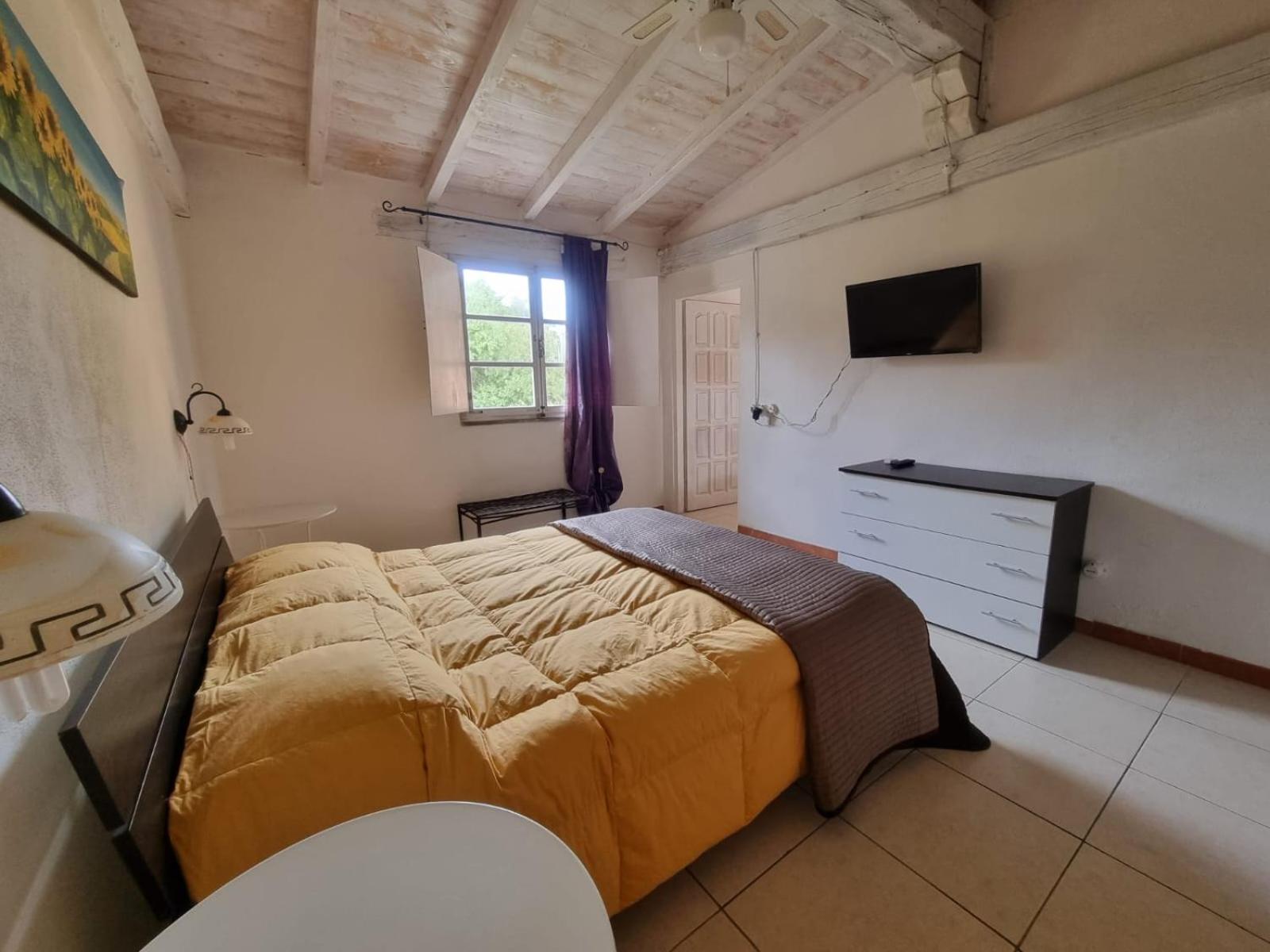 One-Bedroom Apartment photo 2