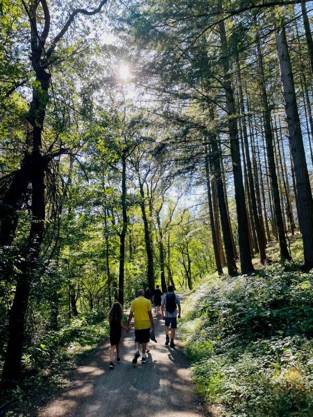LandschaftsTräume, Photo 51