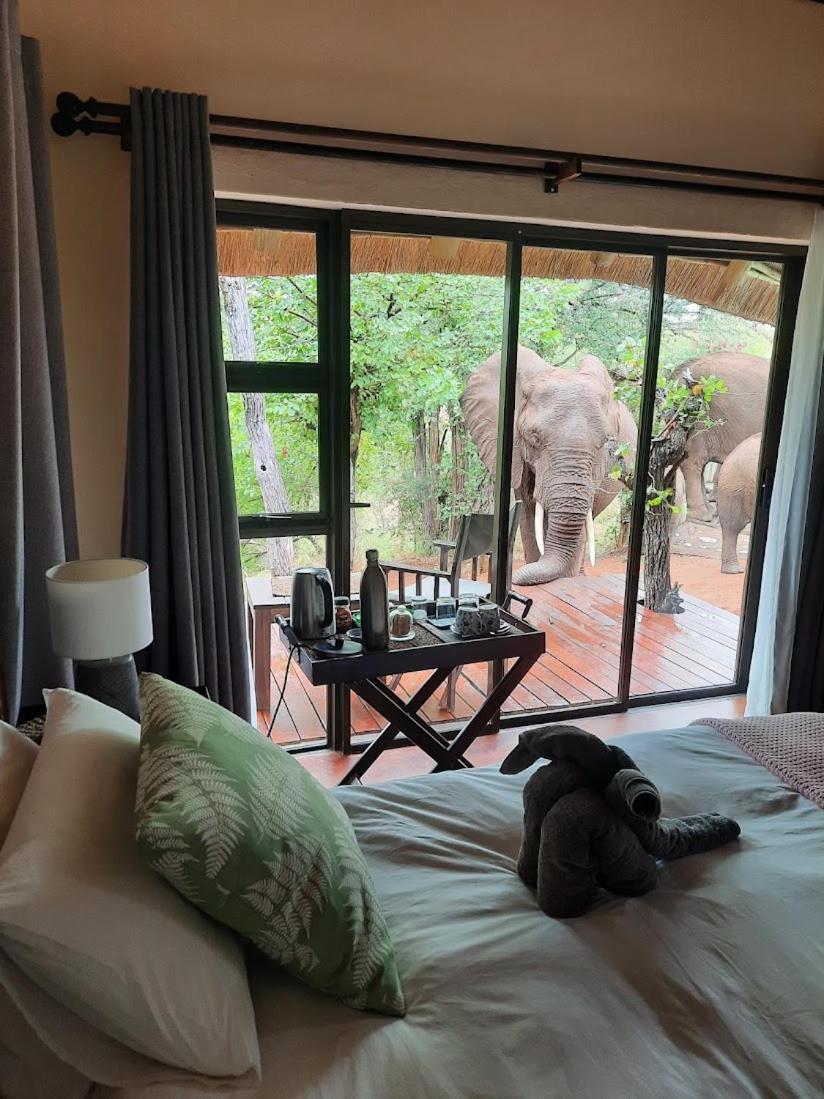 Deluxe Family Suite - Special Offer with Safari photo 1
