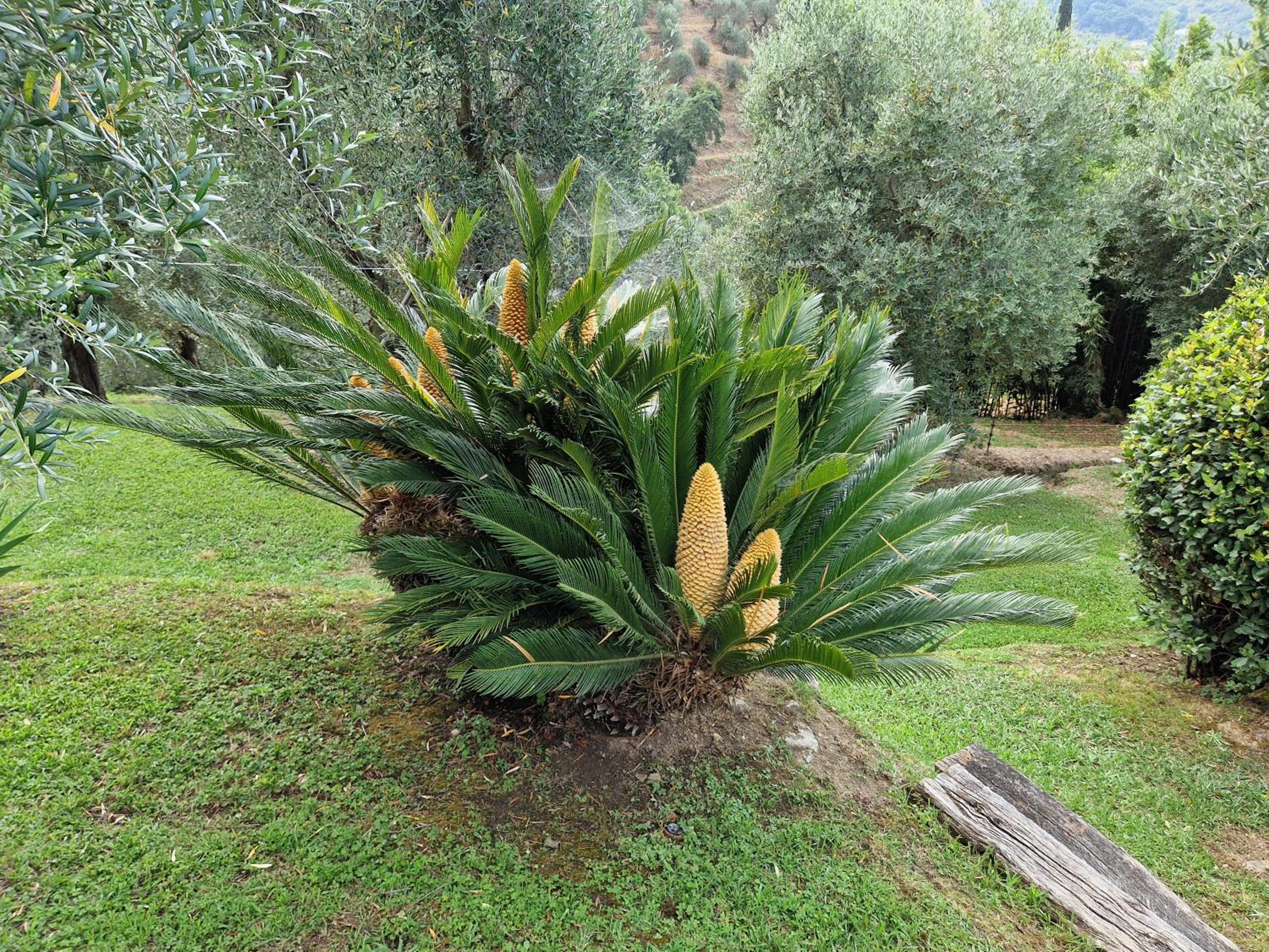 Vacation Home photo 3