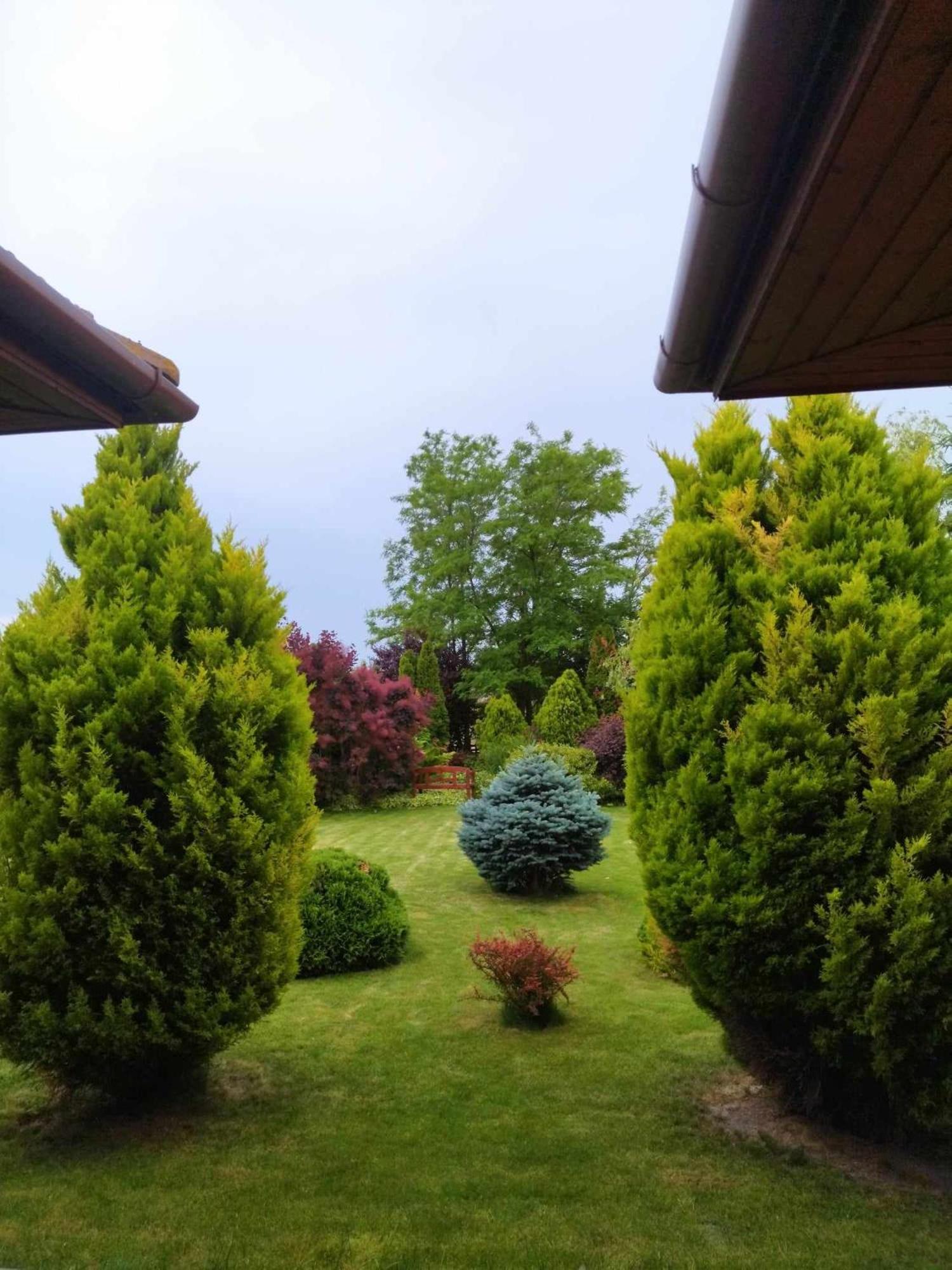 Standard Villa photo 3