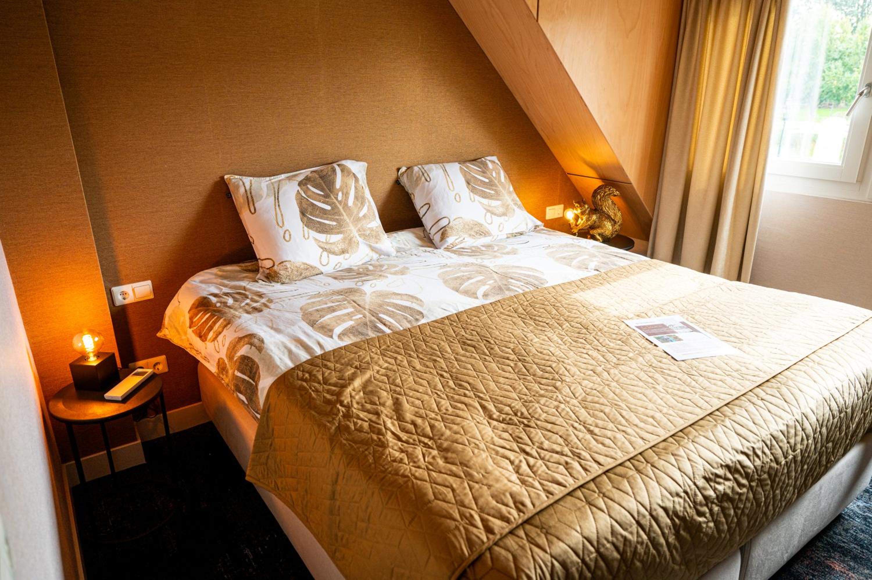 Deluxe Double or Twin Room photo 1