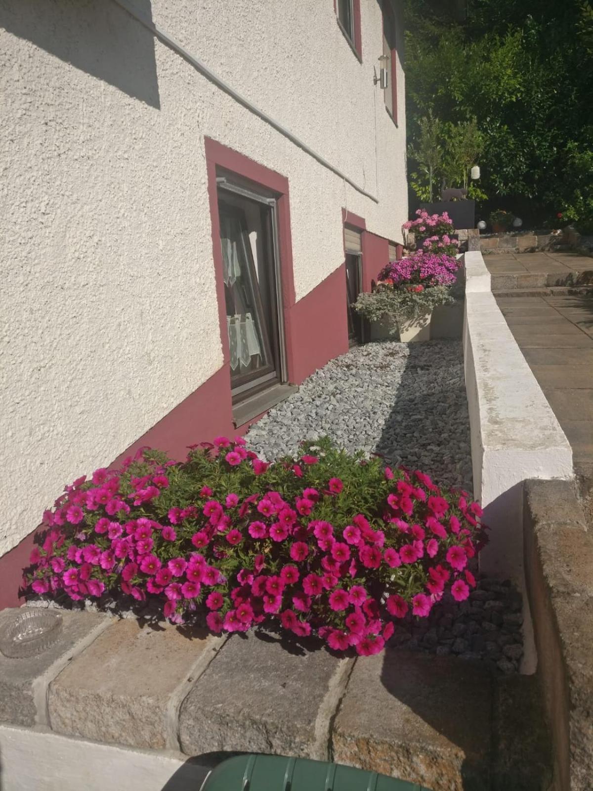 Apartment - Ground Floor - Photo 15