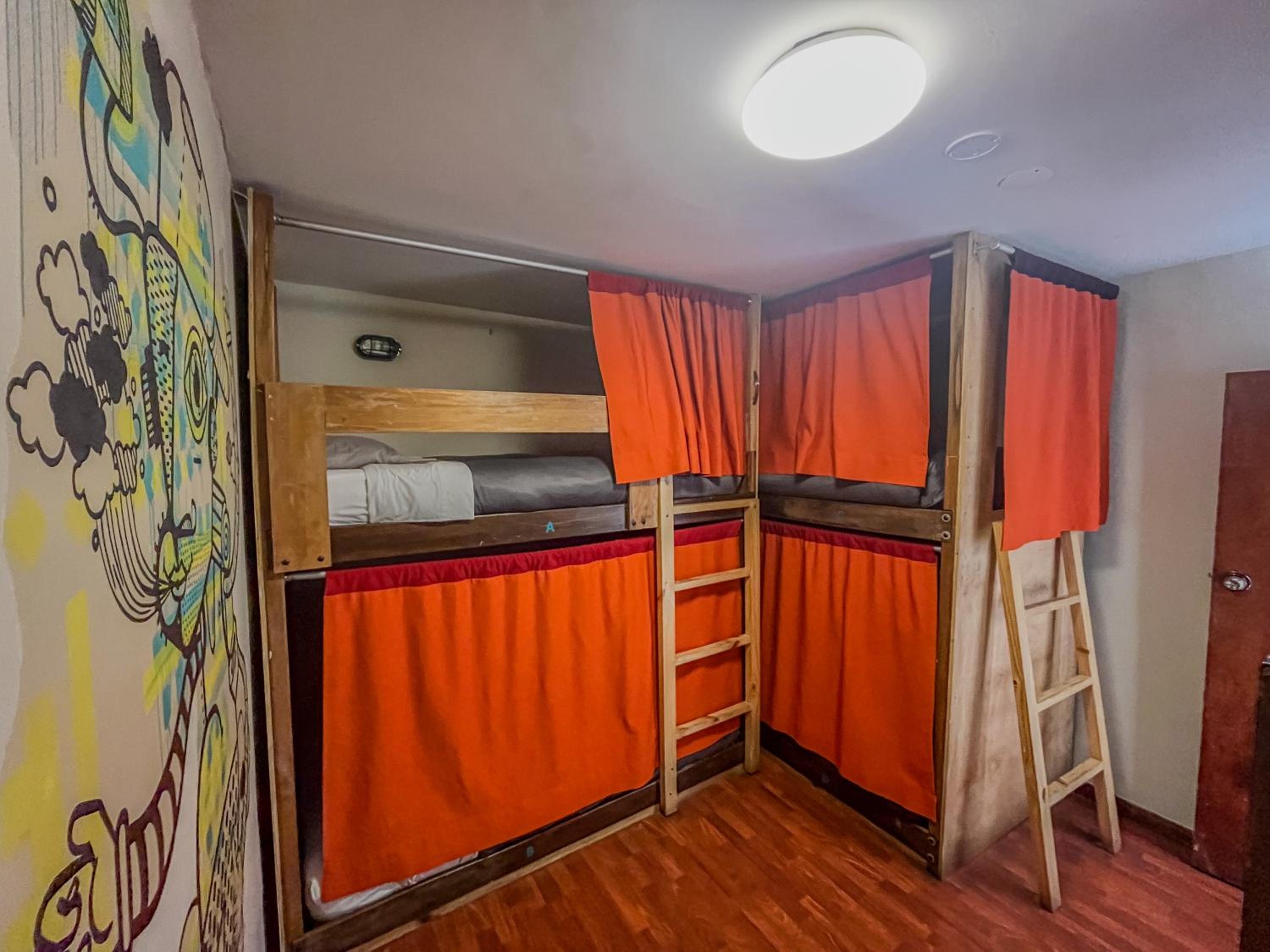 Deluxe Bed in 4-Bed Mixed Dormitory Room photo 1