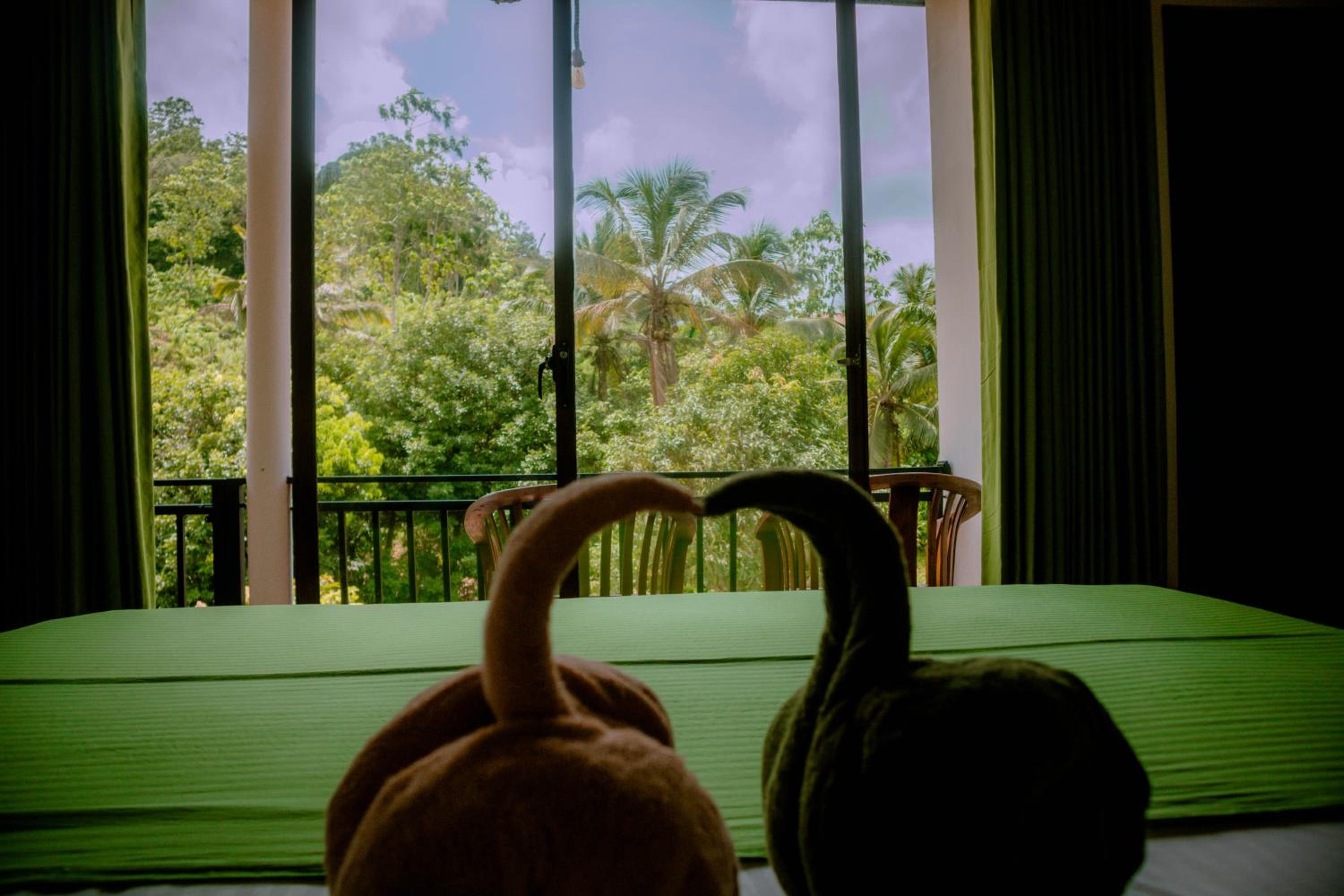 Double Room with Mountain View photo 3