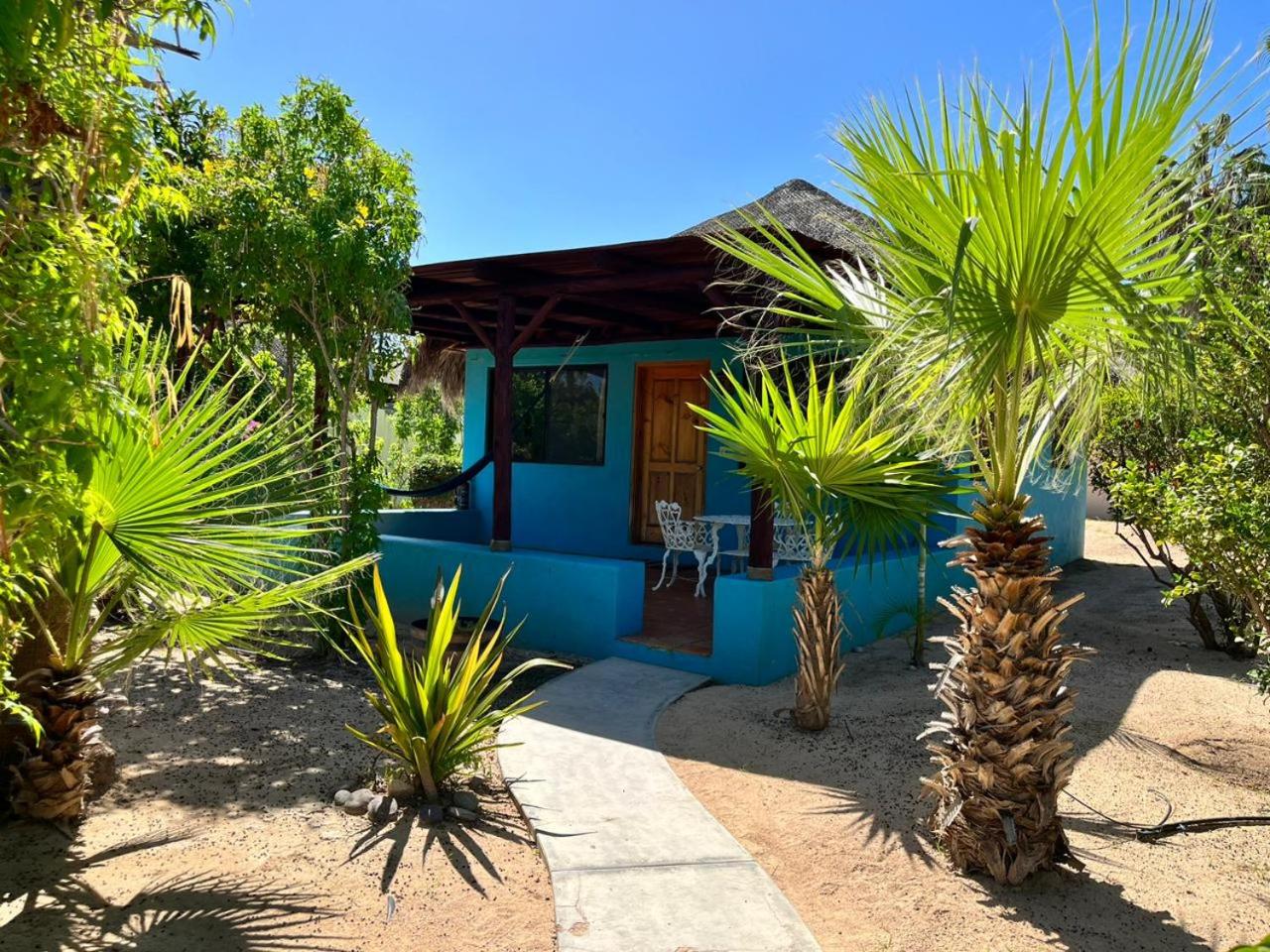 Deluxe Bungalow photo 2