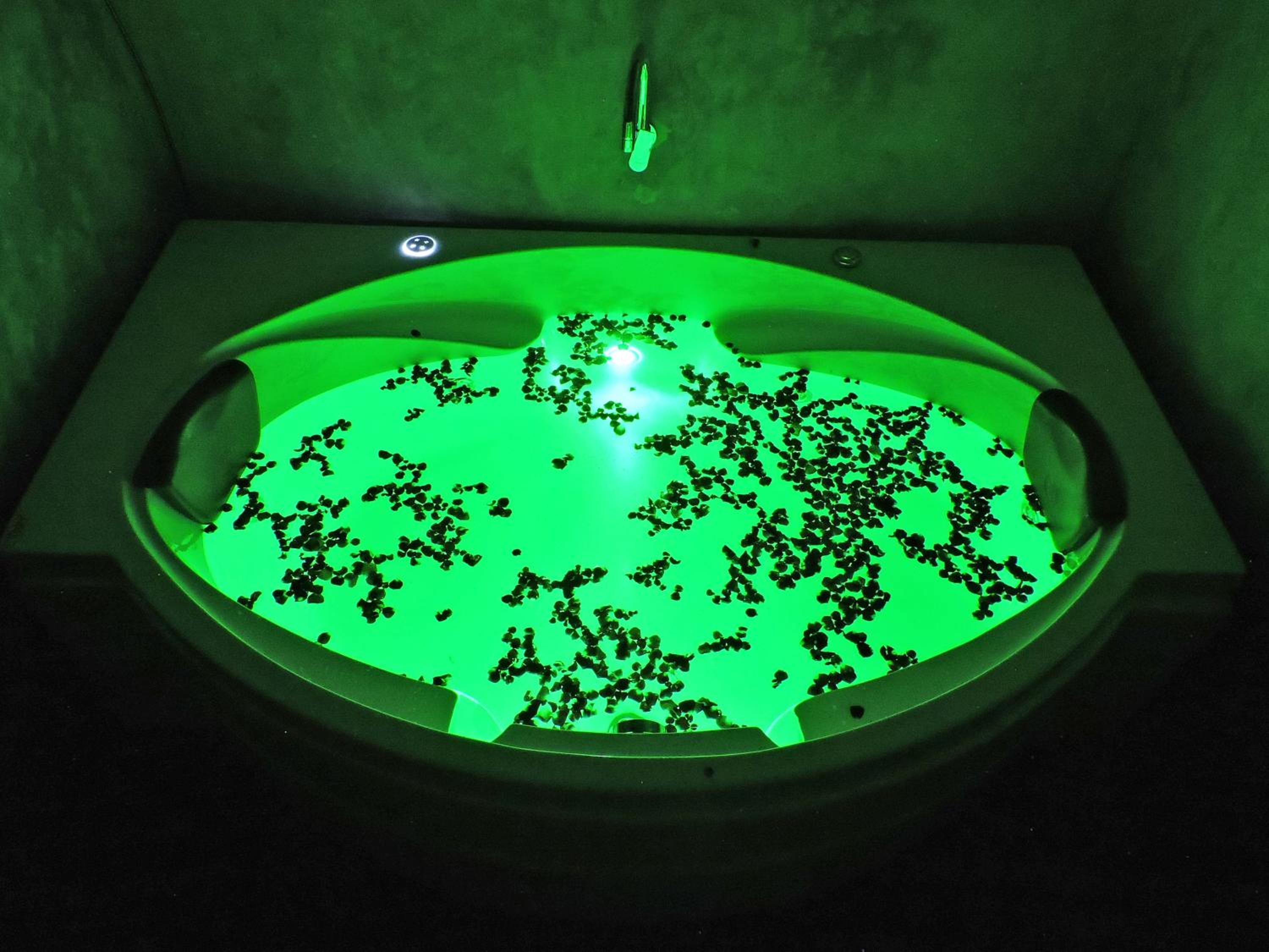 Double Room with Spa Bath - Photo 2