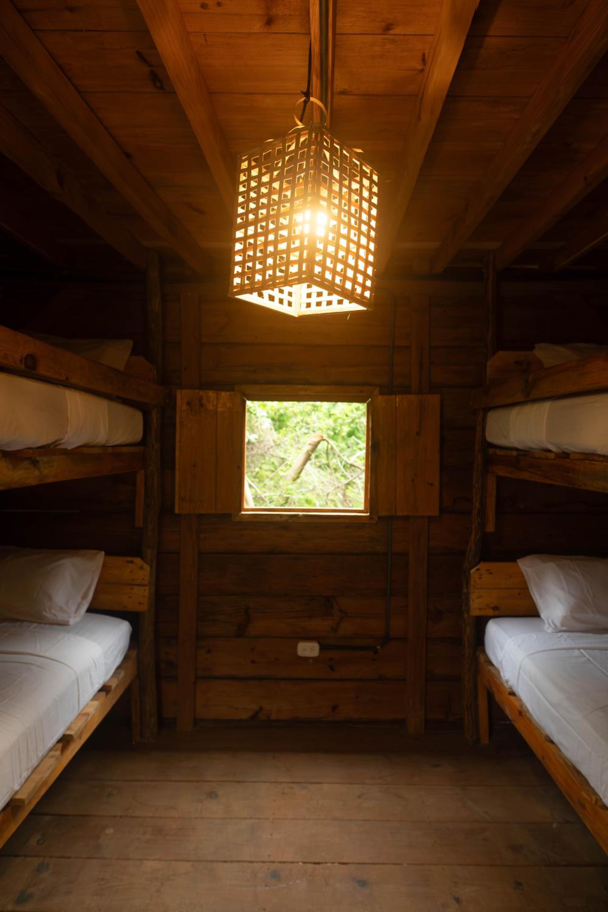 Bed in 4-Bed Mixed Dormitory Room photo 3