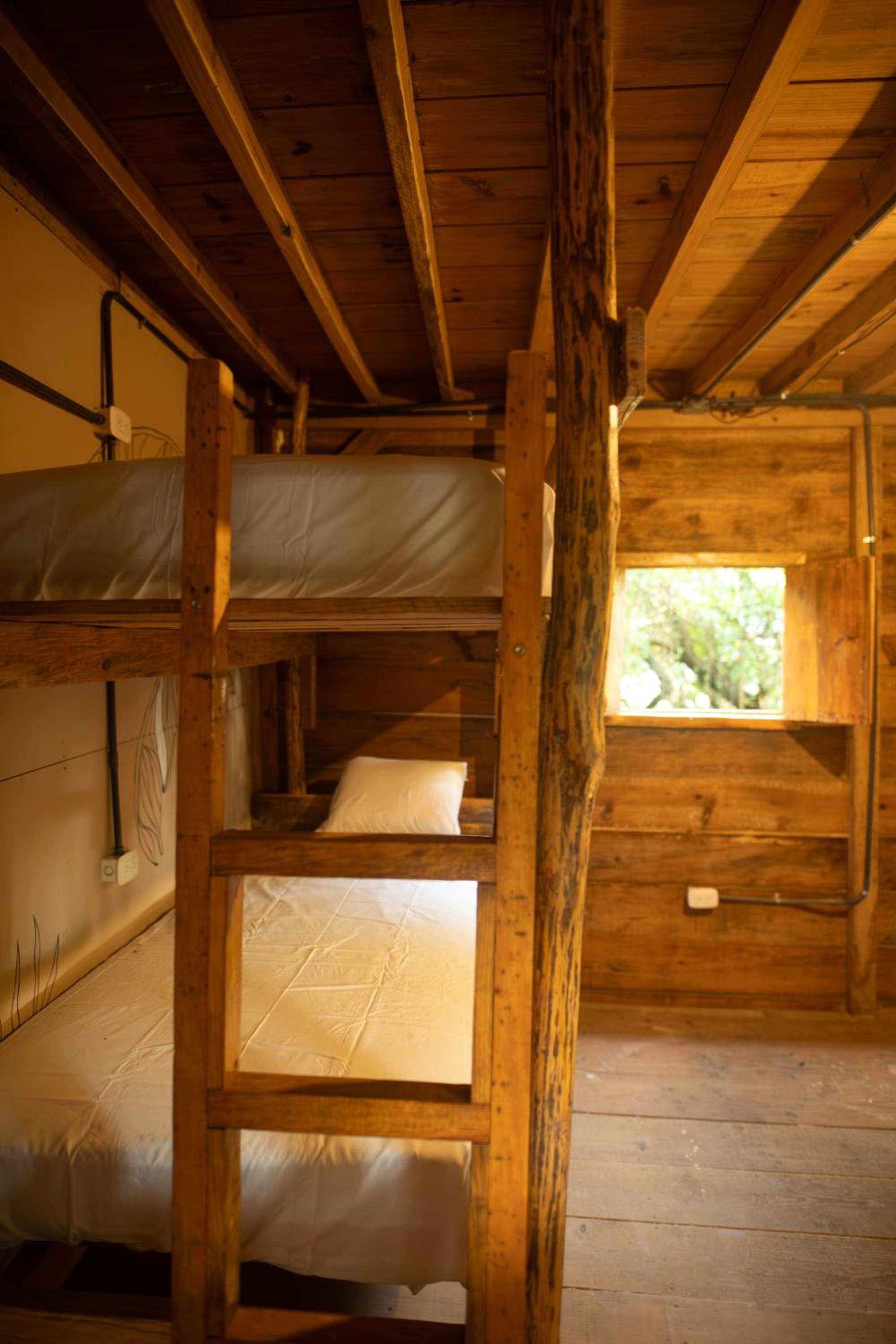 Bed in 4-Bed Mixed Dormitory Room photo 2