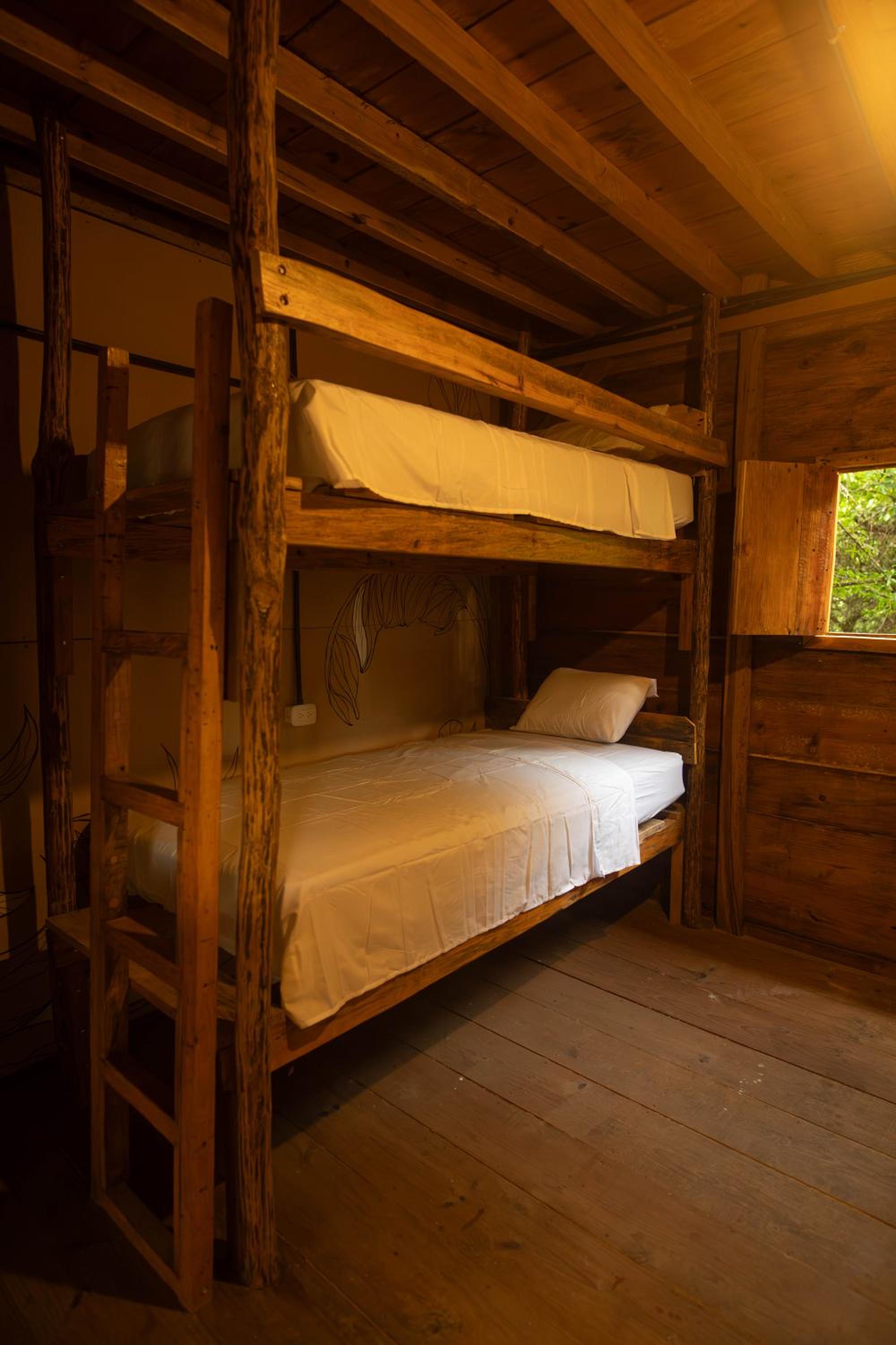 Bed in 4-Bed Female Dormitory Room photo 3