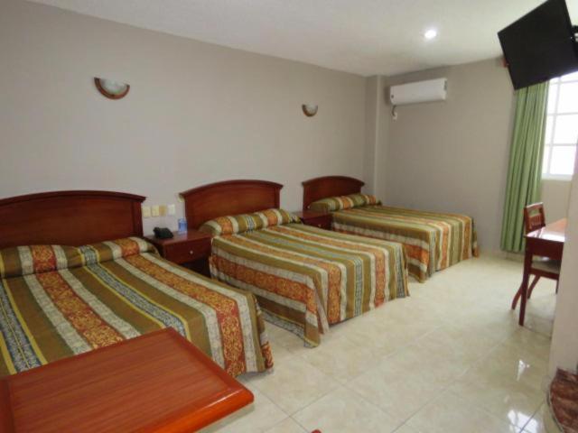 Triple Room photo 1