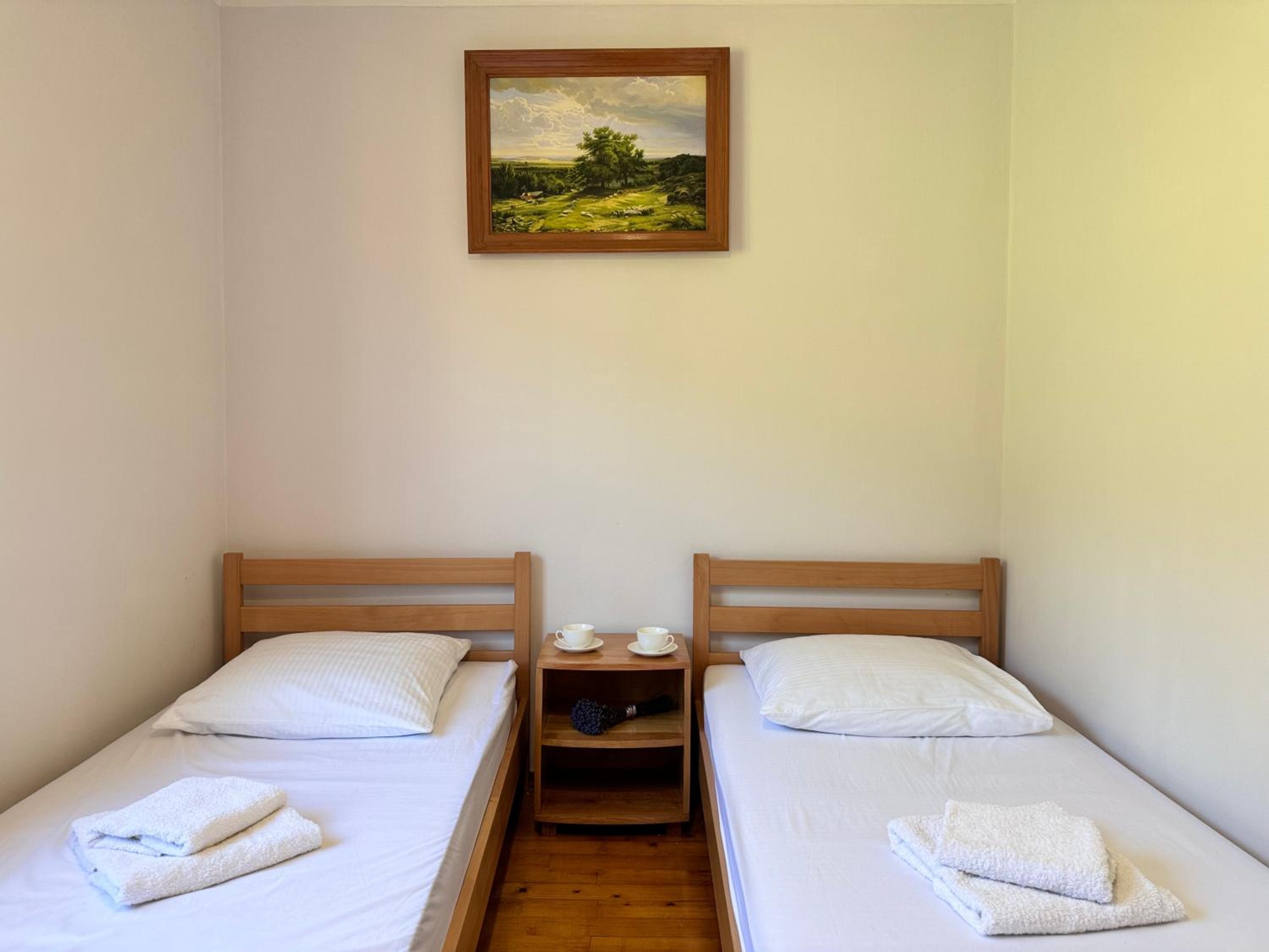 Standard Twin Room with Mountain View photo 1
