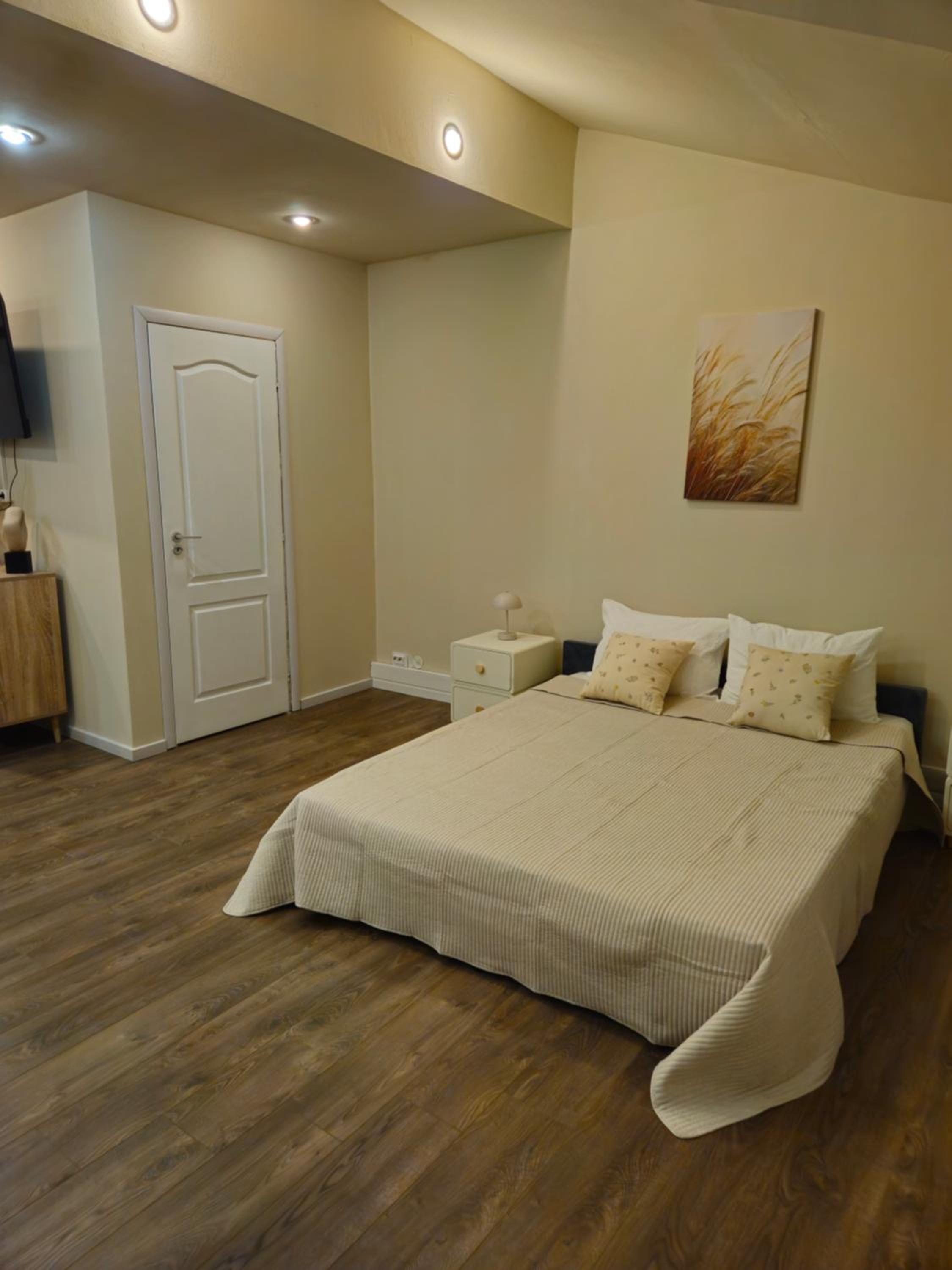 One-Bedroom Apartment photo 3