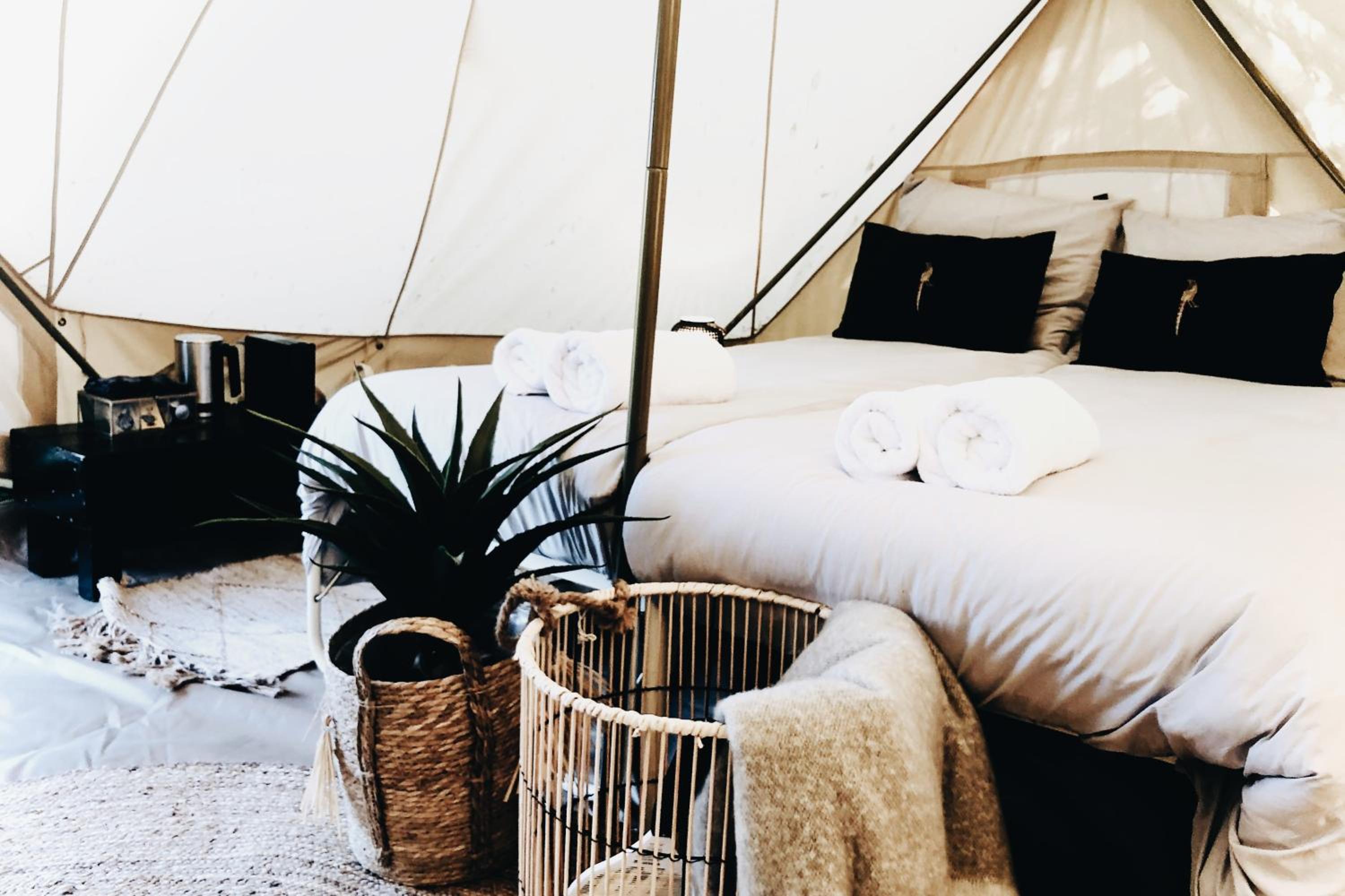 Tent photo 1