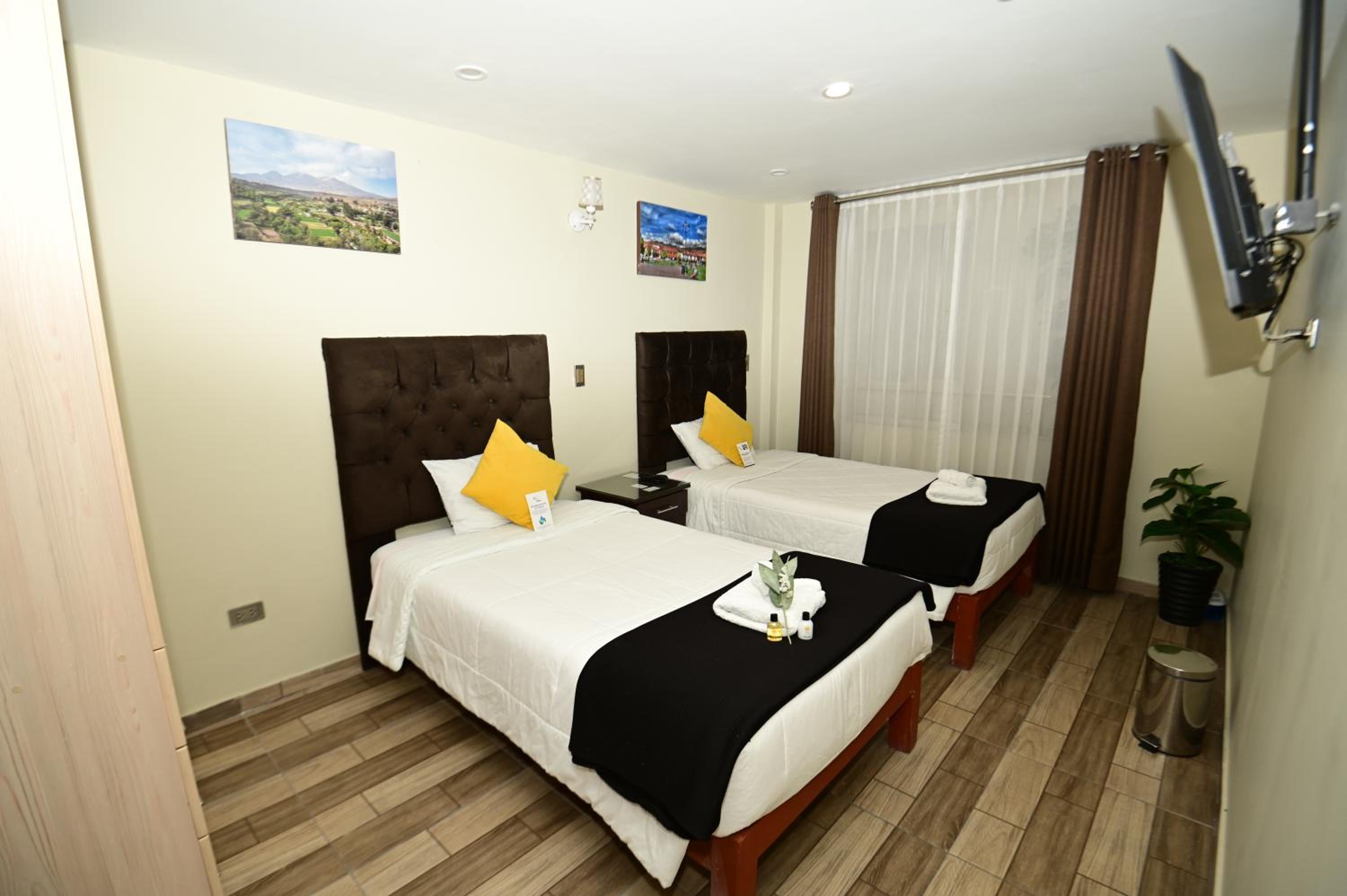 Twin Room photo 3