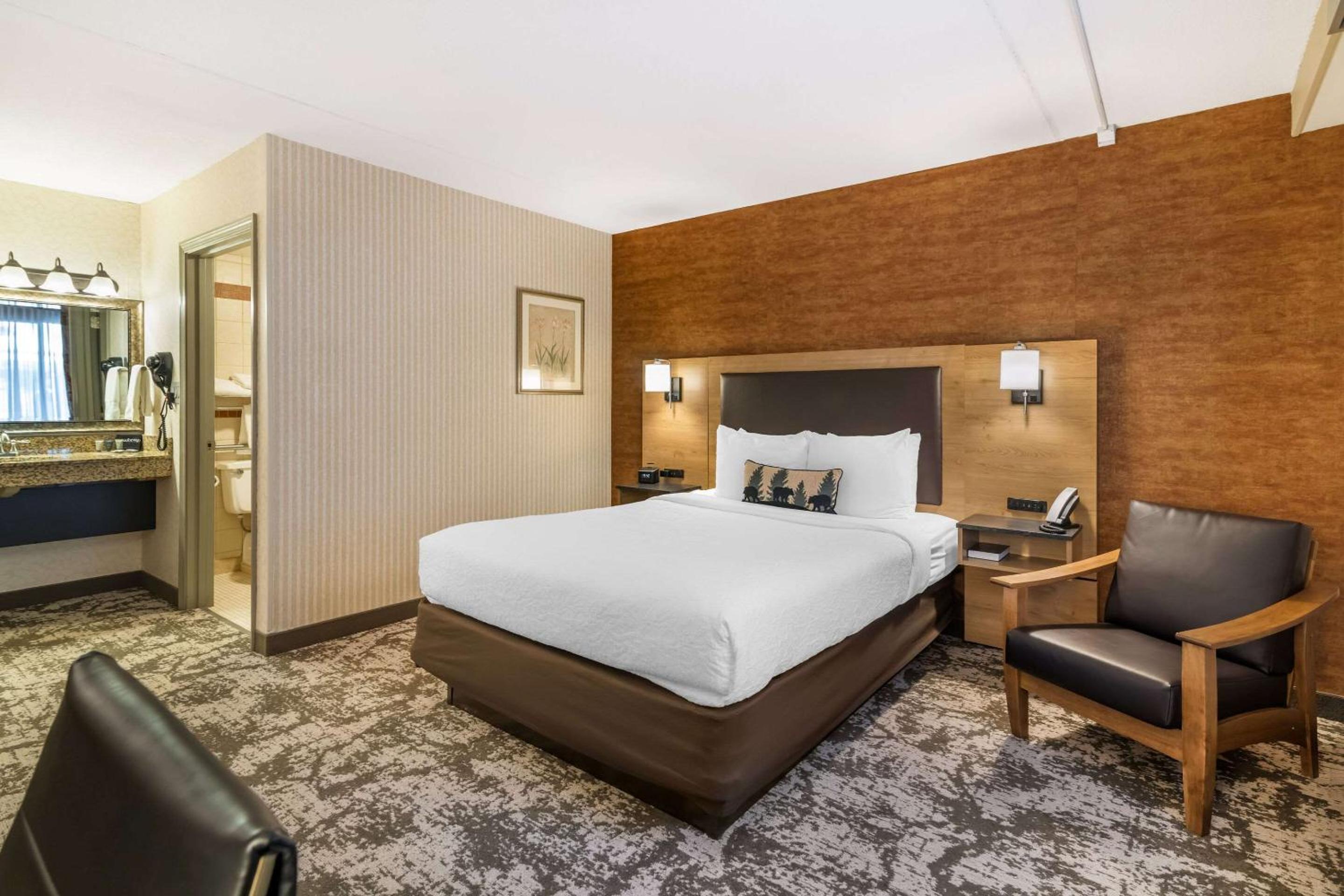 Queen Room - Accessible/Non-Smoking - Photo 8