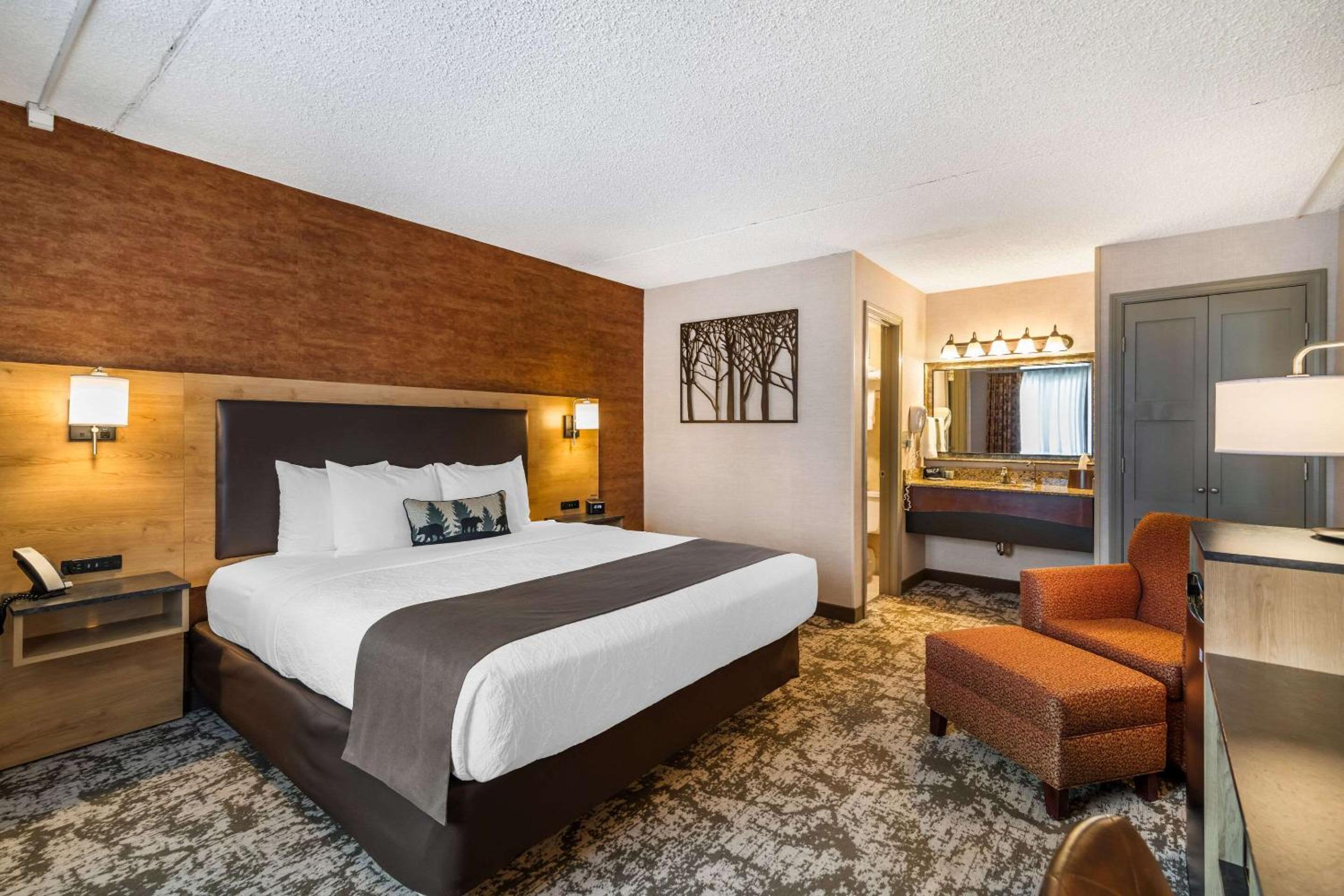 Standard King Room - Non-Smoking  - Photo 1