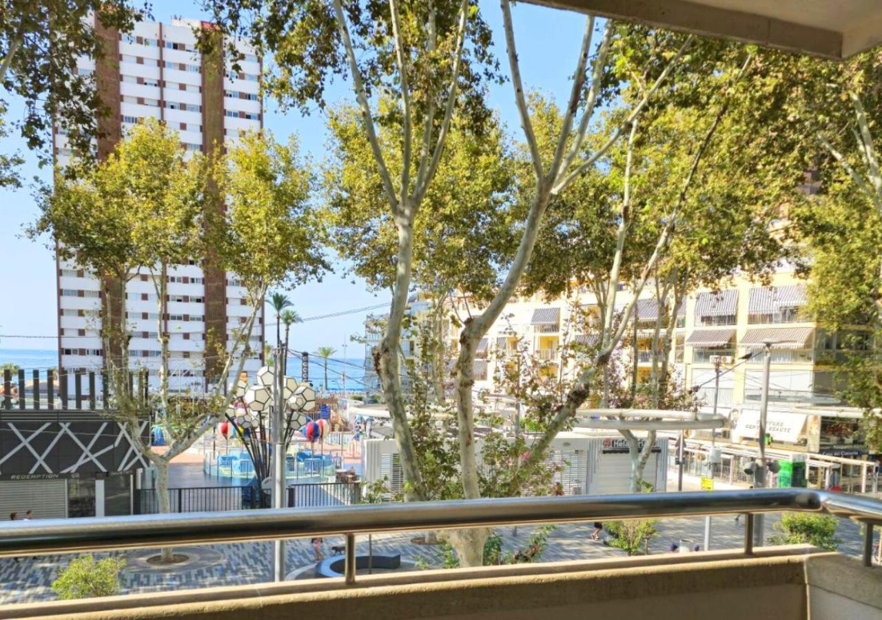 Double Room Avenue View - Photo 7