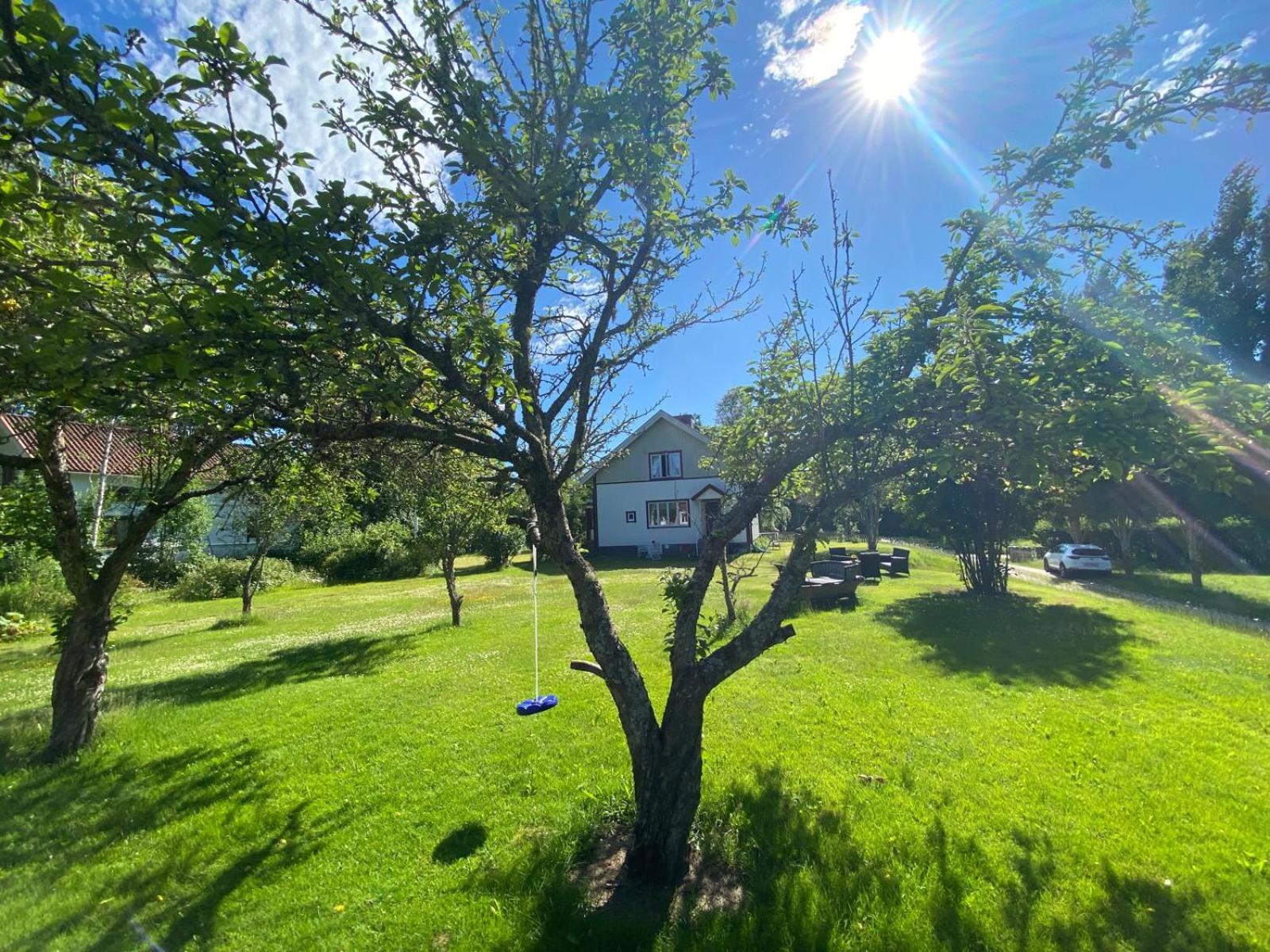 Three-Bedroom House photo 2