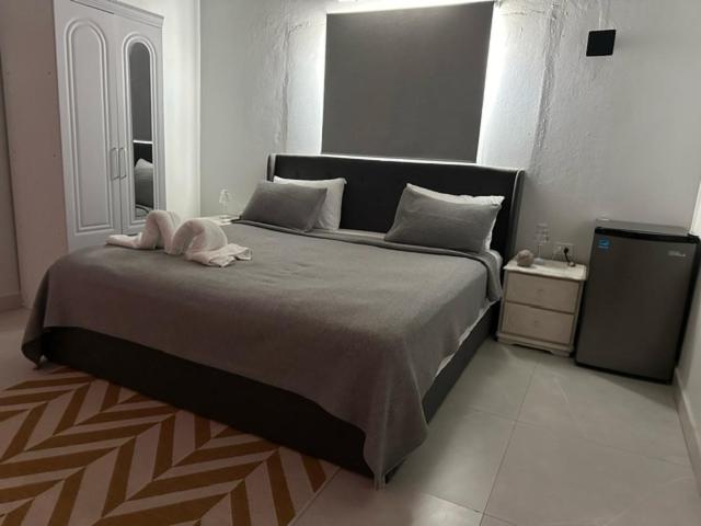 Executive Suite photo 1
