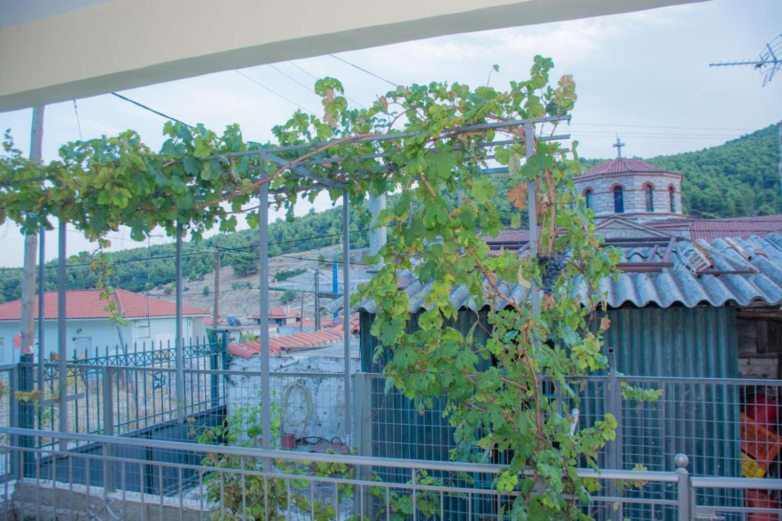 Two-Bedroom Apartment with Terrace photo 3