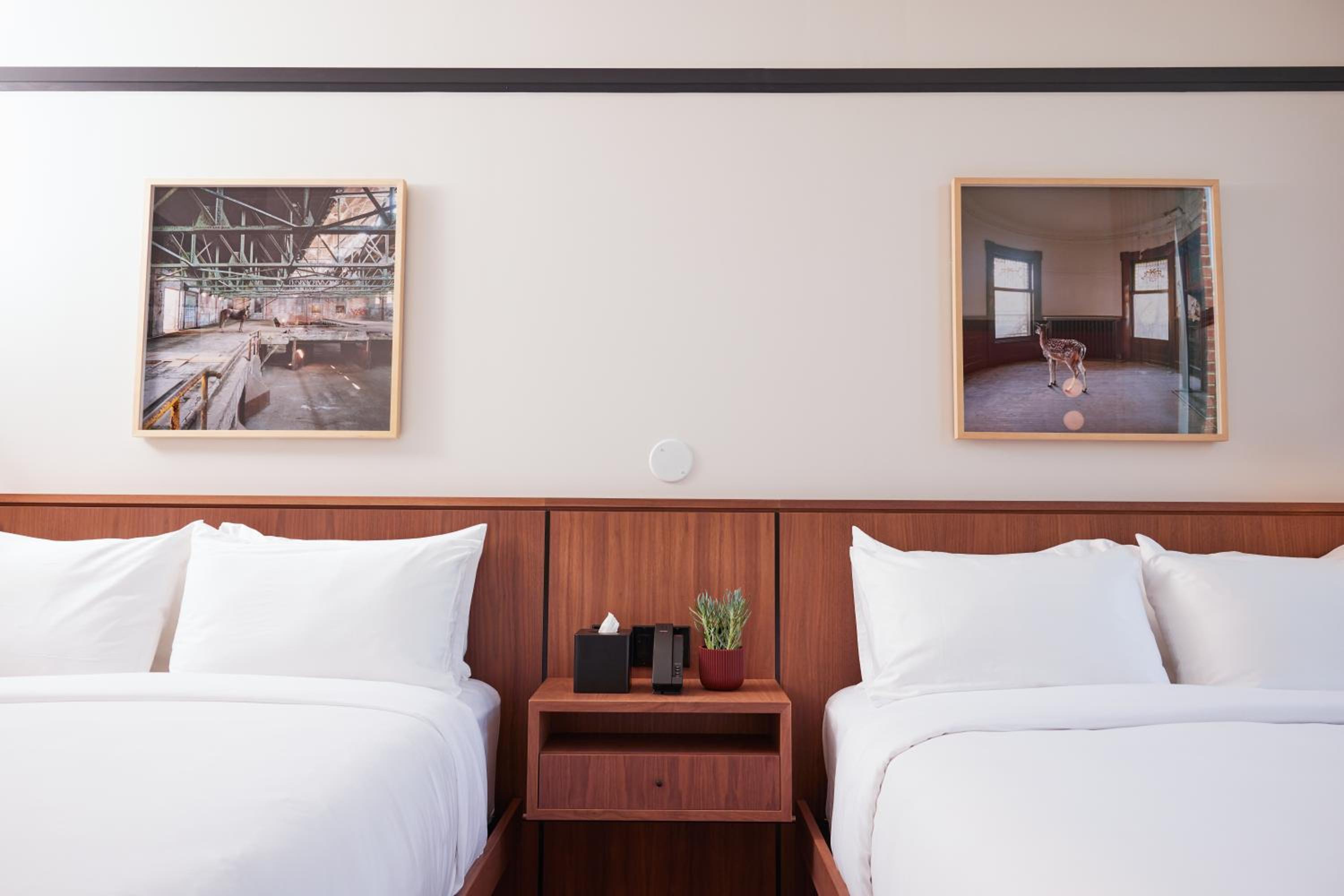 Deluxe Double Room photo 1