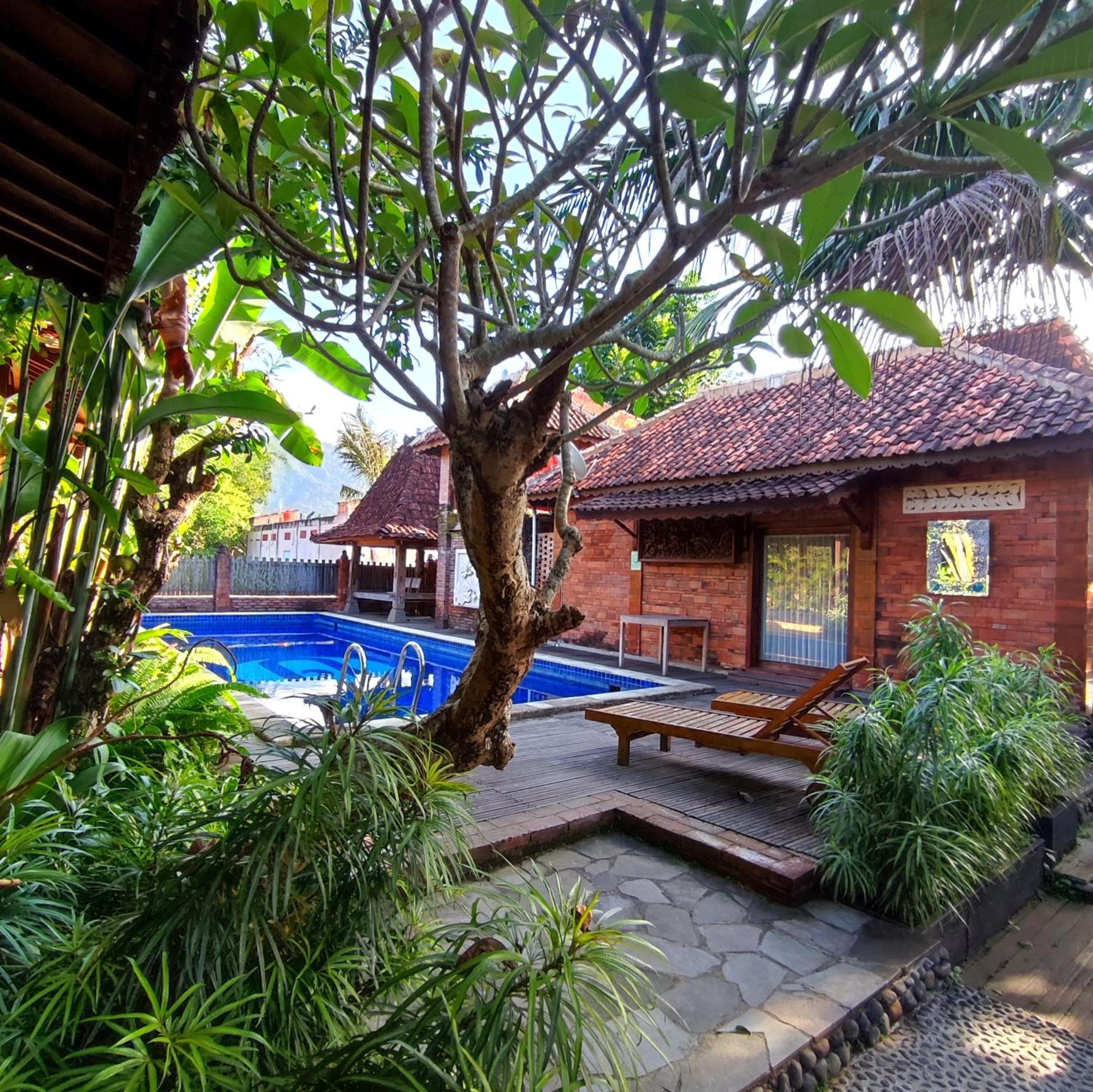 Queen Room with Pool View photo 2