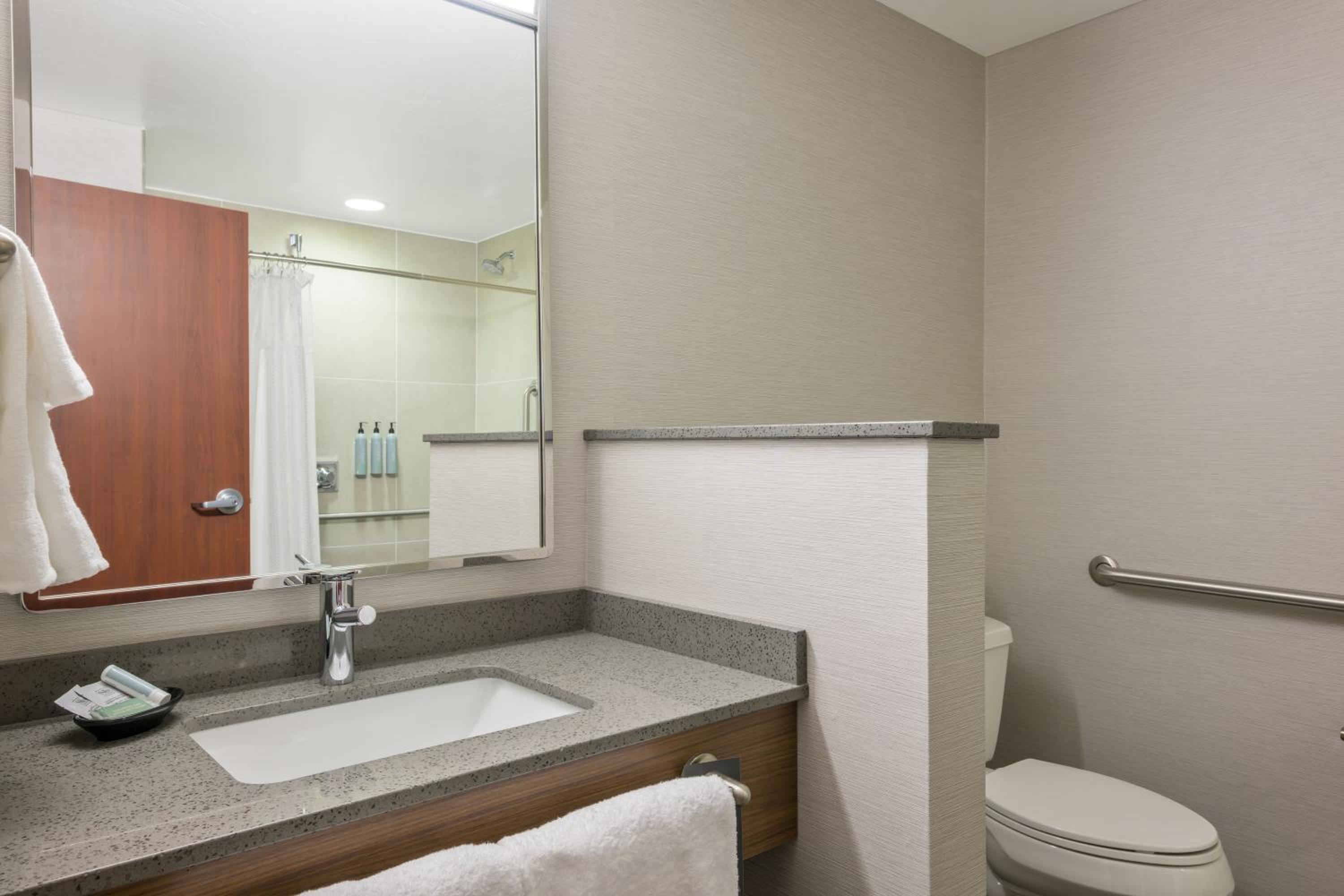 King Room with Sofa Bed and Adapted Tub - Mobility and Hearing Accessible - Photo 7