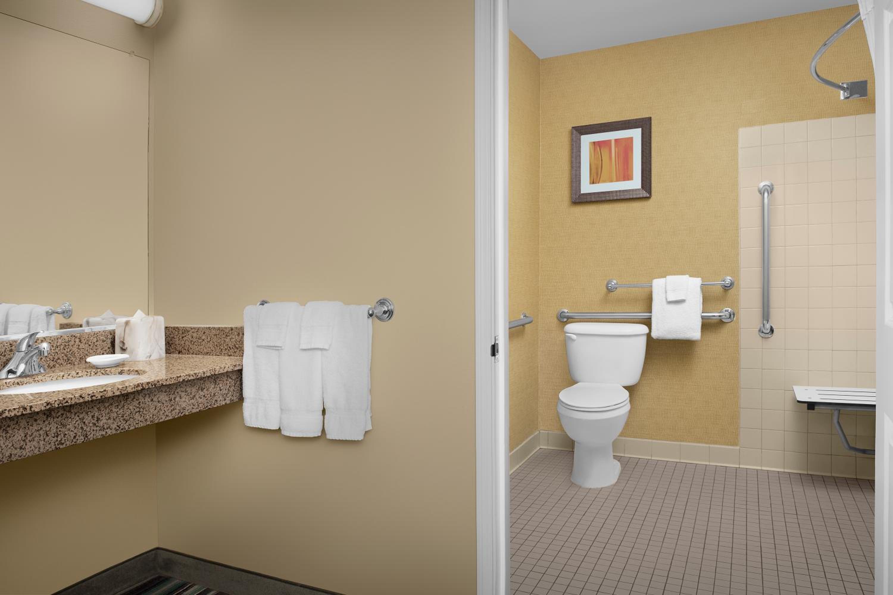 Two-Bedroom Suite - Photo 14